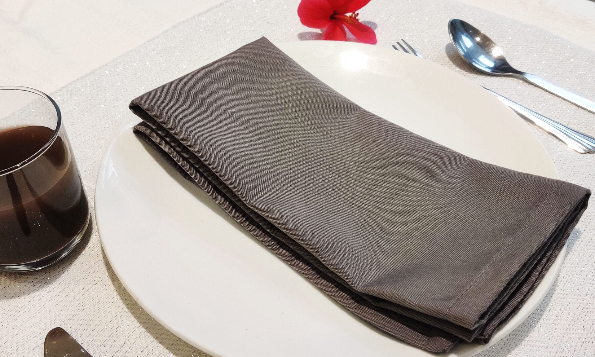 slide 3 of 4, allen + roth 4 -Pack Square Napkin(s), 1 ct