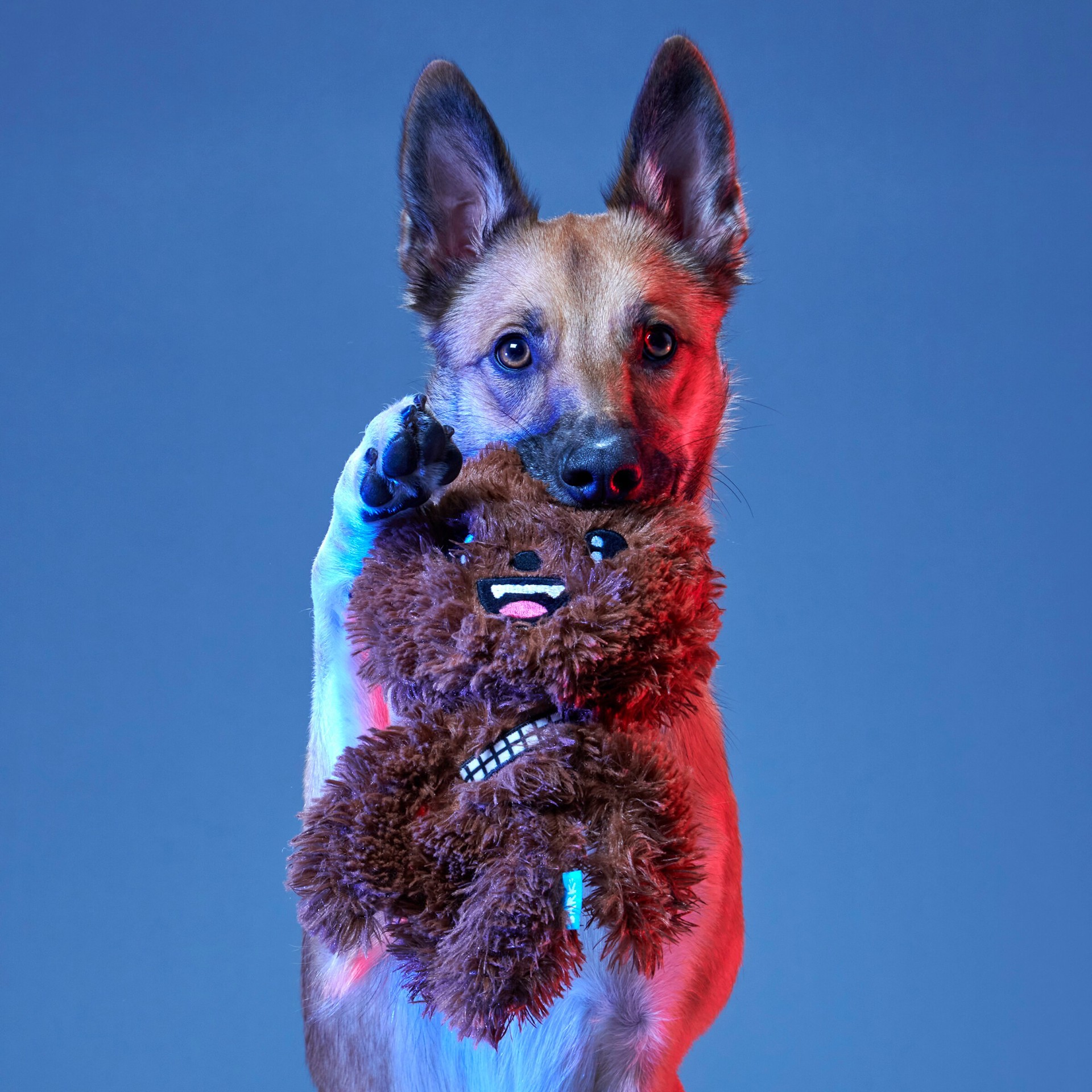 slide 4 of 5, BARK Star Wars Plush Plush Dog Toy, 1 ct