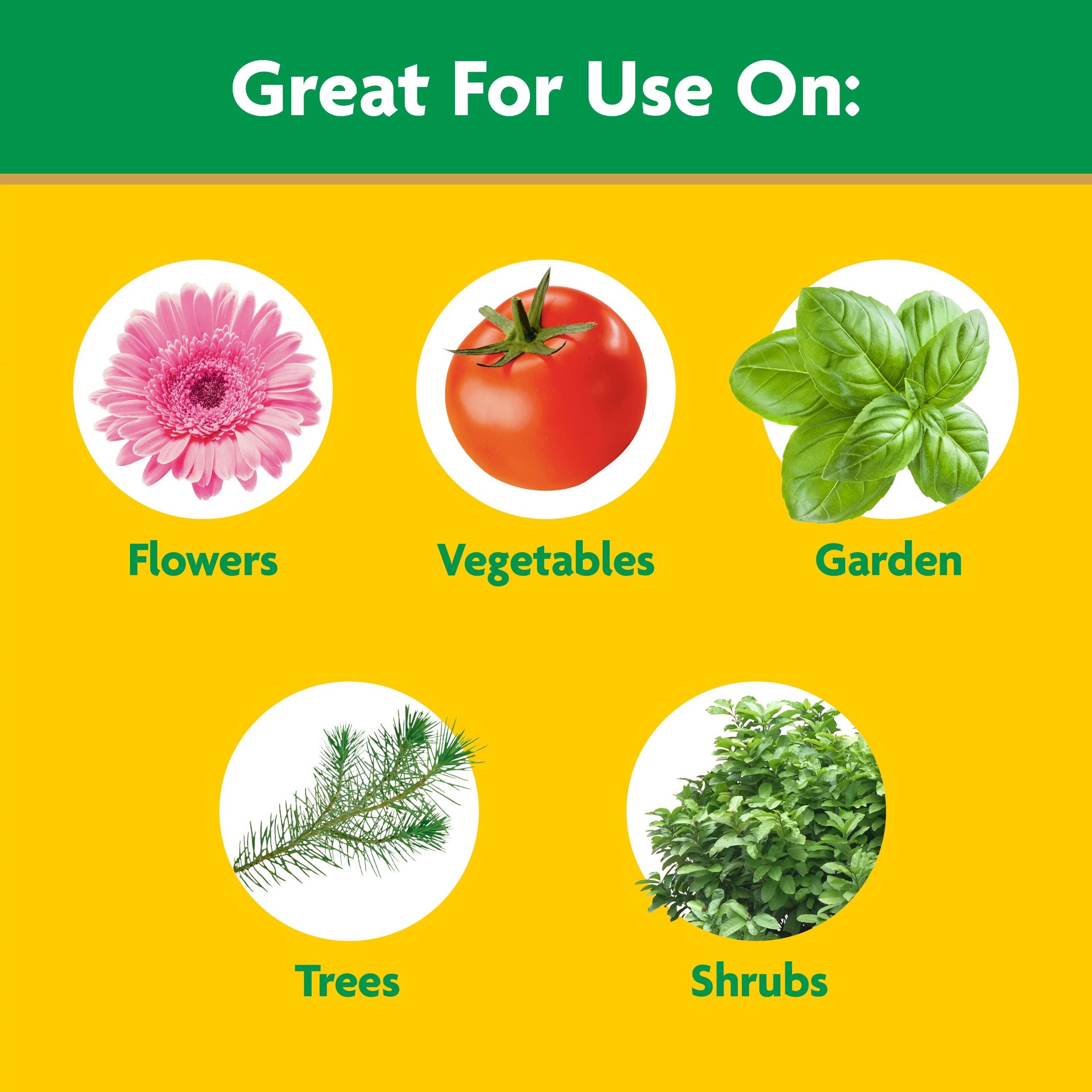 slide 2 of 6, Miracle-Gro Garden Feeder 1-Count Water-soluble Granules All-purpose Food, 1 ct
