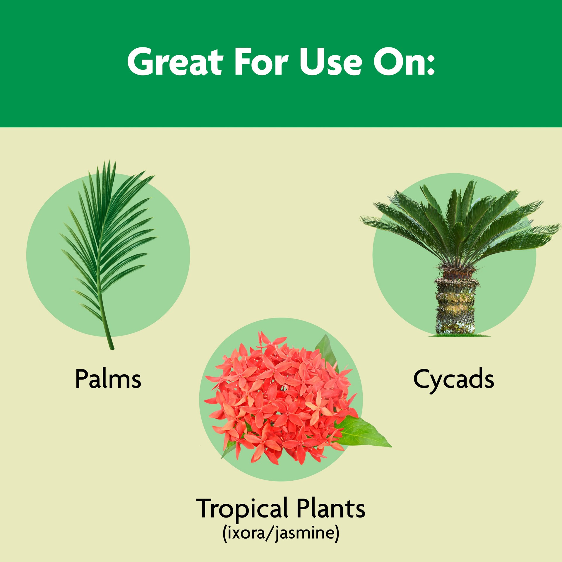 slide 2 of 6, Miracle-Gro Shake n' Feed Palm Plant 4.5-lb 8-8-8 Palm Trees Food, 1 ct