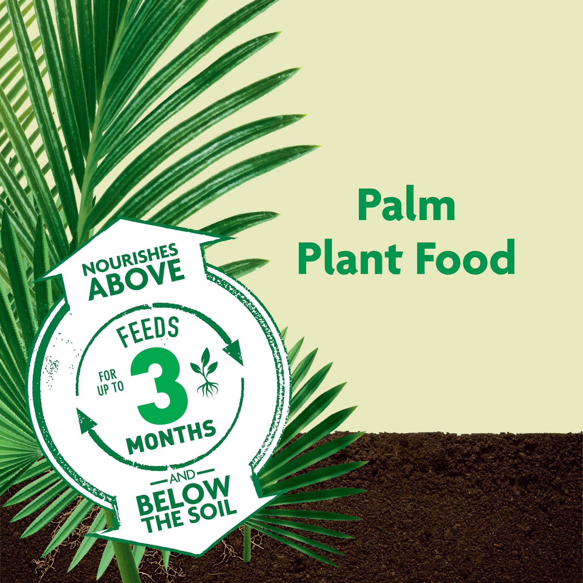 slide 3 of 6, Miracle-Gro Shake n' Feed Palm Plant 4.5-lb 8-8-8 Palm Trees Food, 1 ct