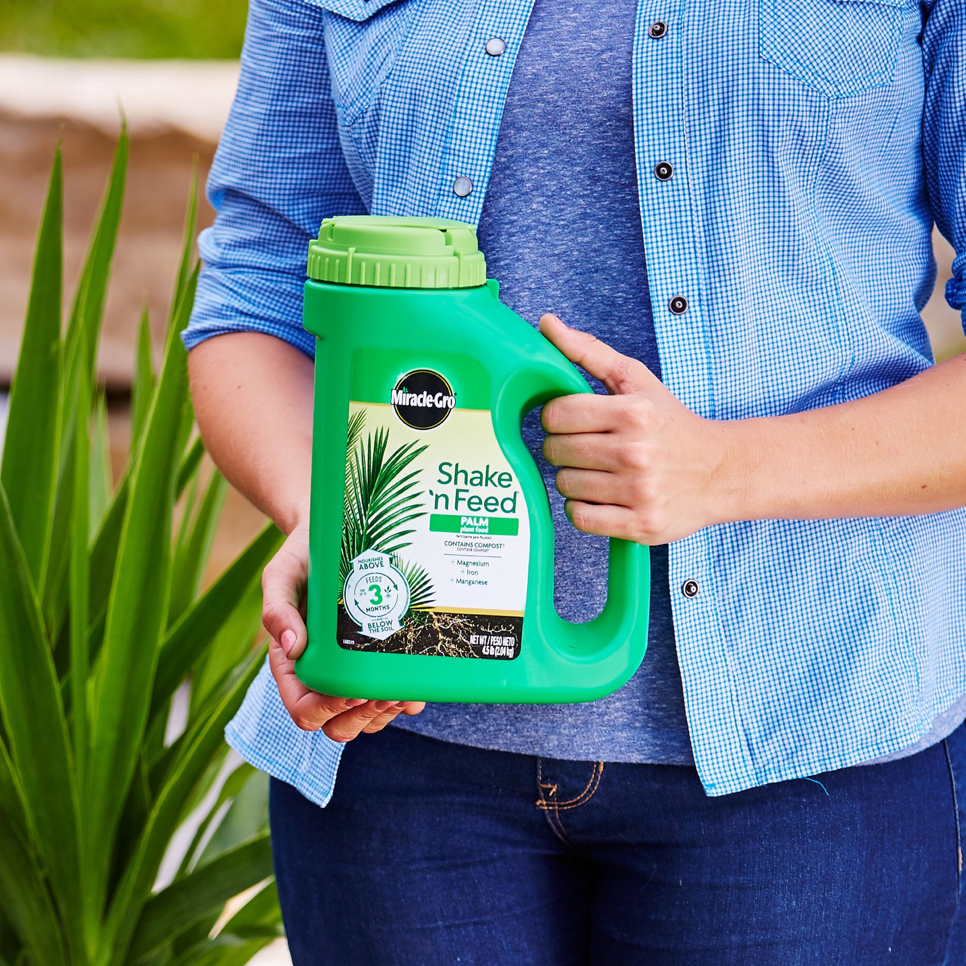 slide 4 of 6, Miracle-Gro Shake n' Feed Palm Plant 4.5-lb 8-8-8 Palm Trees Food, 1 ct
