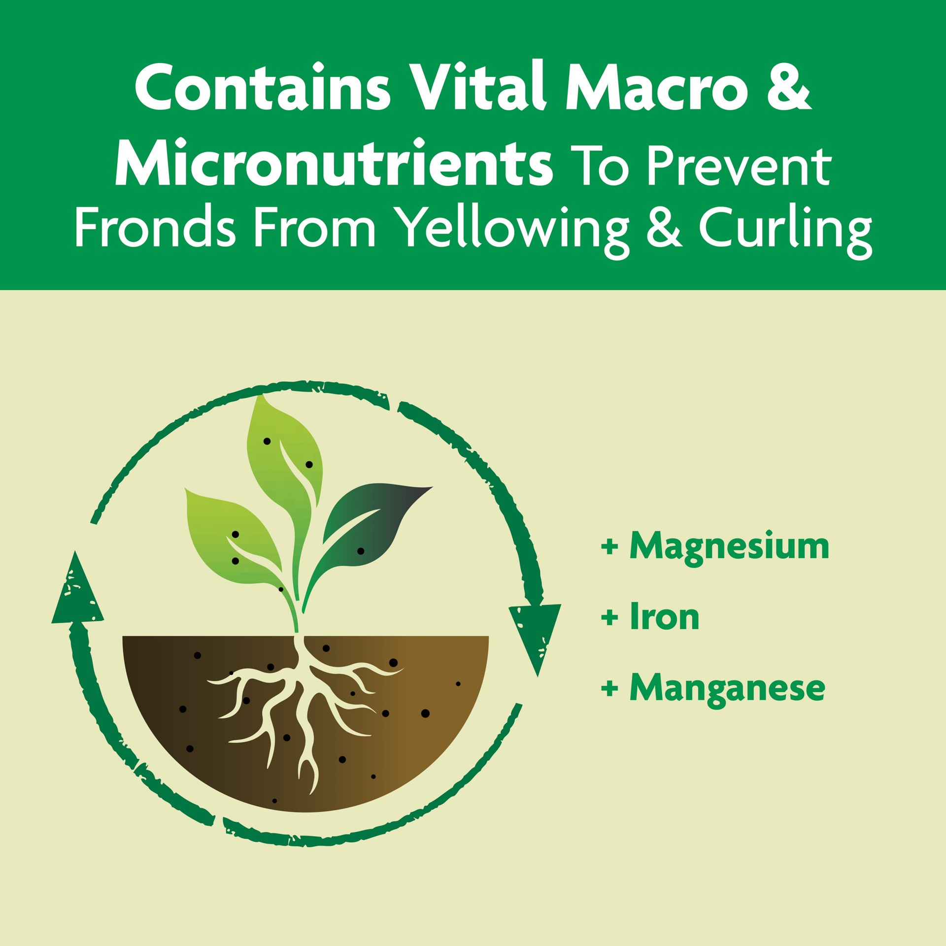 slide 6 of 6, Miracle-Gro Shake n' Feed Palm Plant 4.5-lb 8-8-8 Palm Trees Food, 1 ct