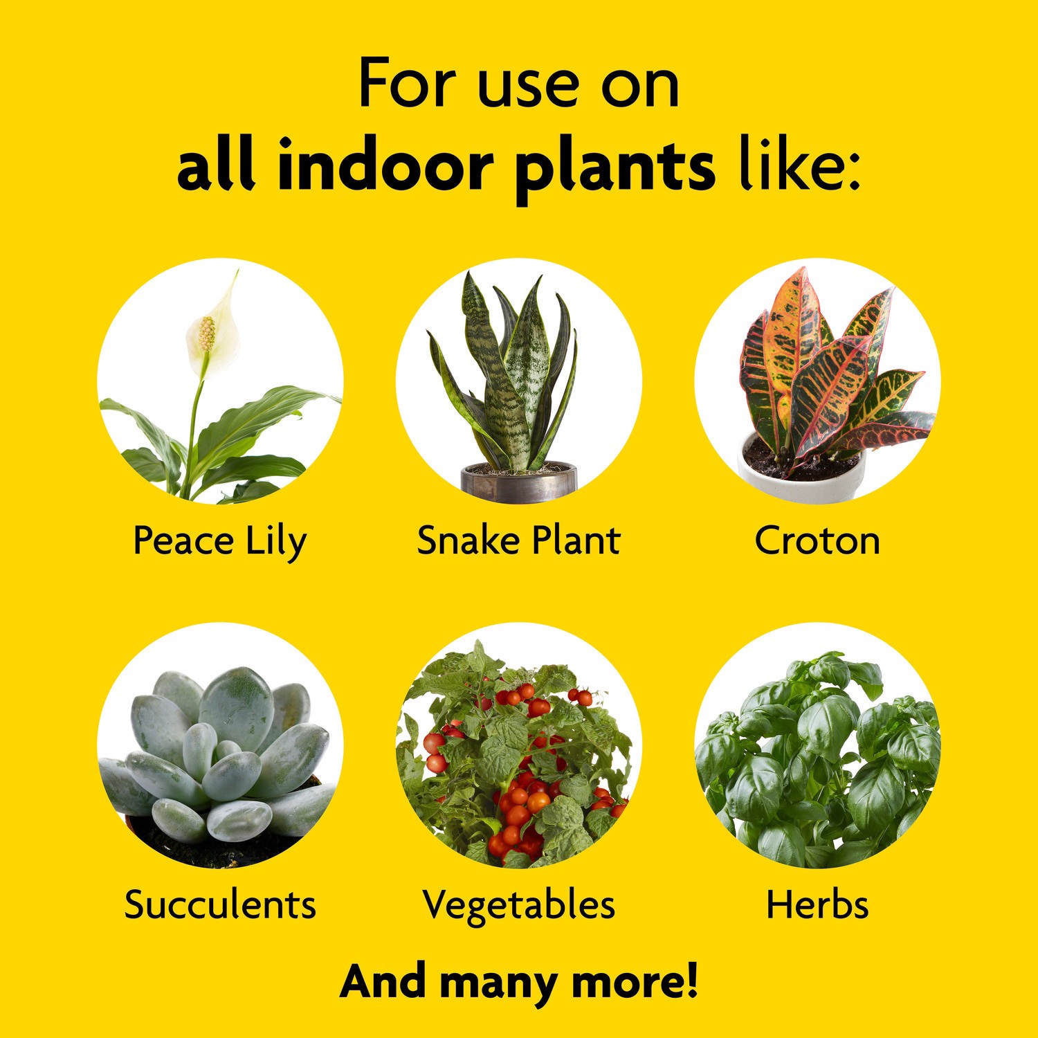 slide 2 of 6, Miracle-Gro 8-fl oz 1-1-1 Liquid Indoor Plant Food, 1 ct