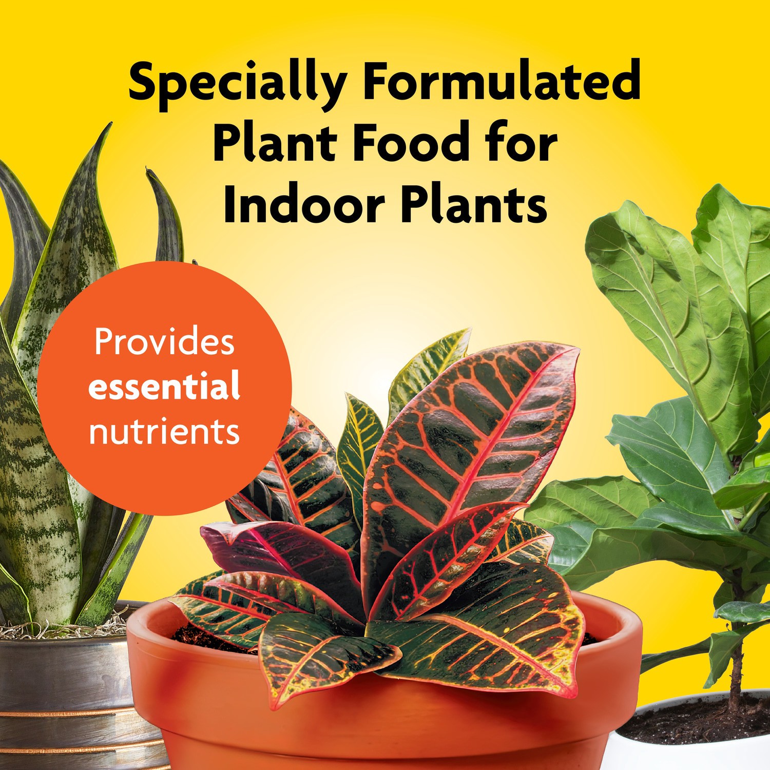 slide 4 of 6, Miracle-Gro 8-fl oz 1-1-1 Liquid Indoor Plant Food, 1 ct