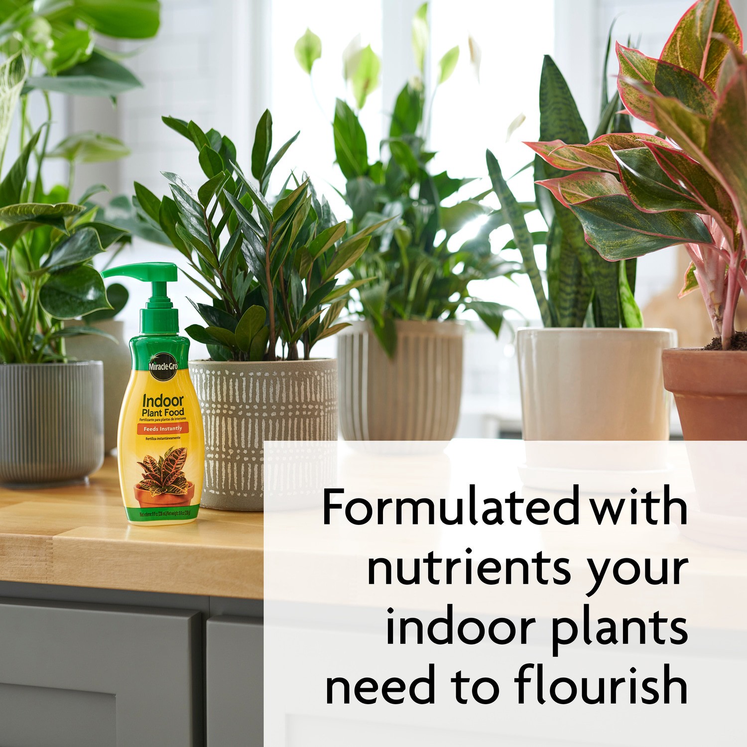 slide 6 of 6, Miracle-Gro 8-fl oz 1-1-1 Liquid Indoor Plant Food, 1 ct