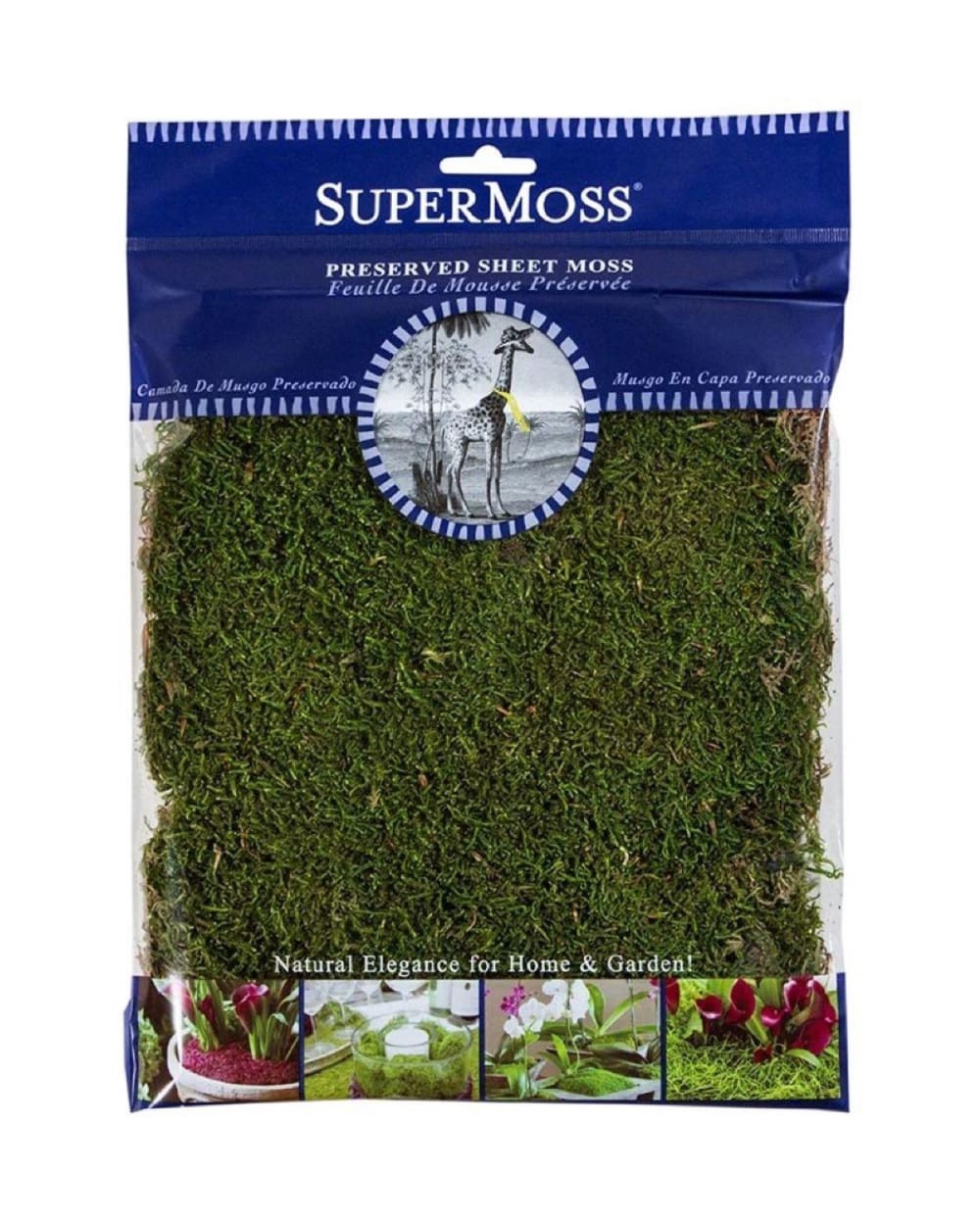 slide 1 of 1, allen + roth Organic 1-oz Sheet Moss, 1 ct