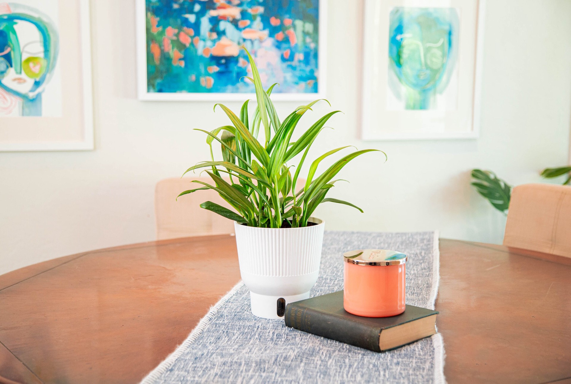 slide 6 of 6, Costa Farms Pothos House plant in 1.4 Quart(s) Self-watering pot 1 -Pack, 1 ct