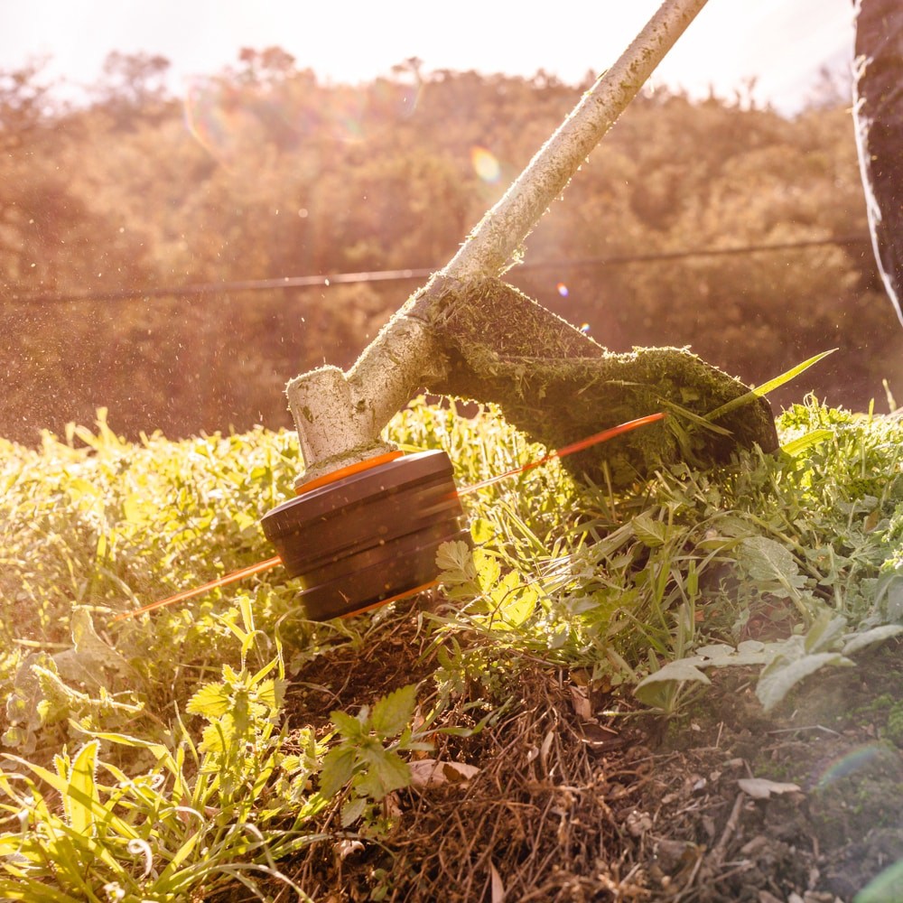 slide 4 of 6, WORX 0.095-in x 197-ft Bulk reel Trimmer Line, 1 ct