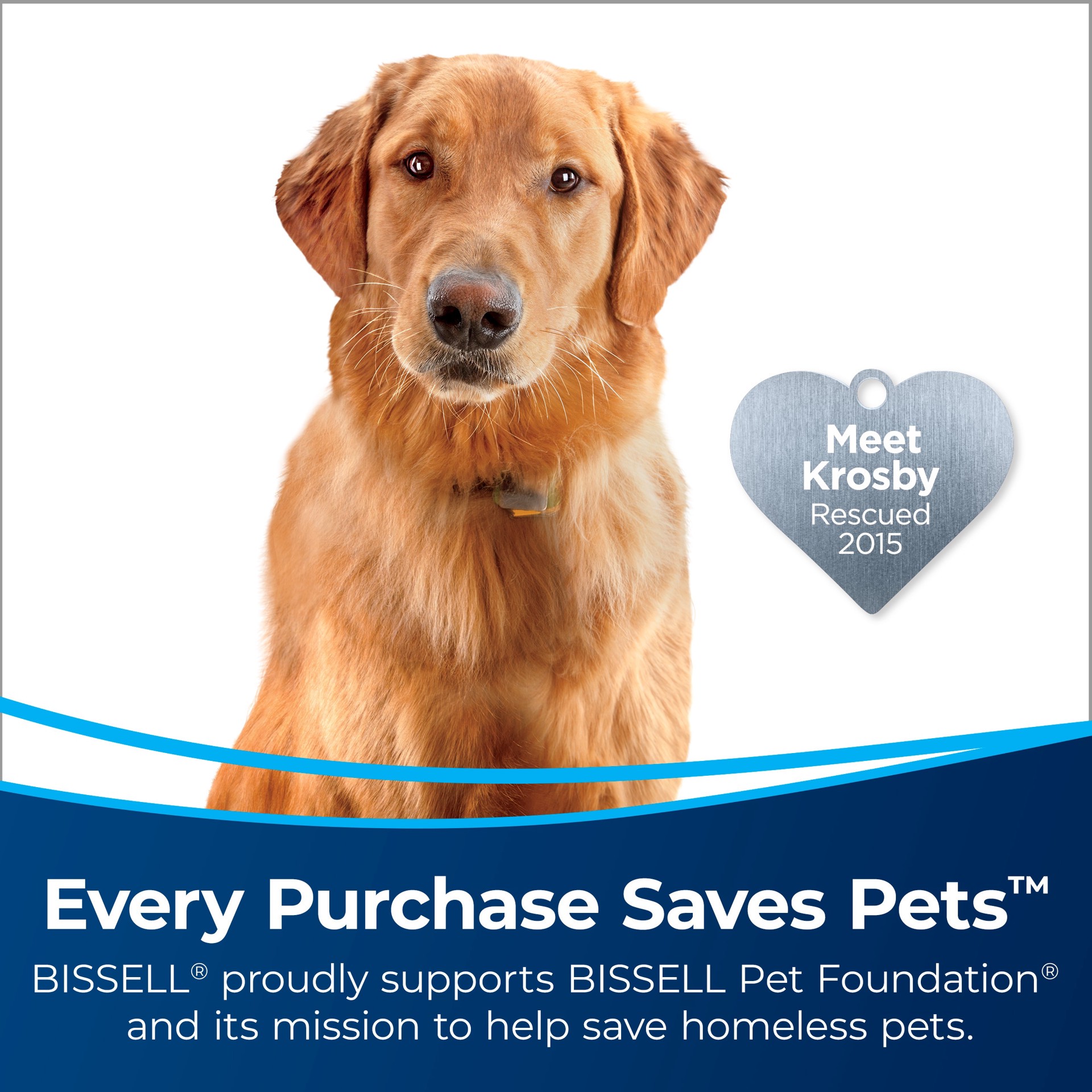 slide 2 of 6, BISSELL ProHeat 2X Revolution Pet Pro Plus Made for Pet Hair Carpet Cleaner with Rotating Brush, 1 ct