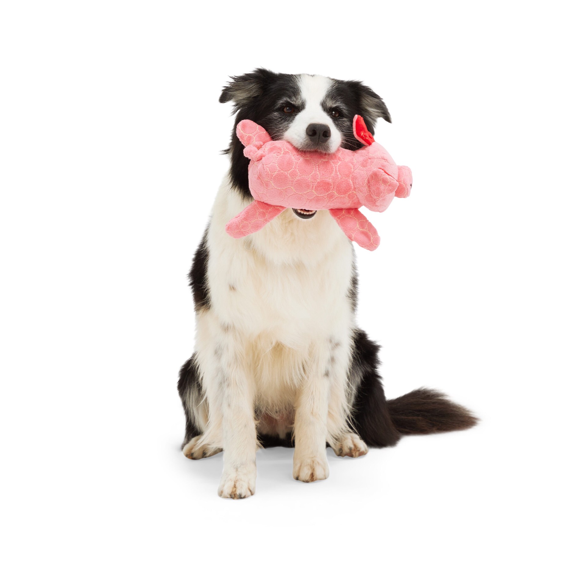 slide 4 of 5, Leaps & Bounds Toy Oxford NylonPolyester Enrichment Dog Toy, 1 ct