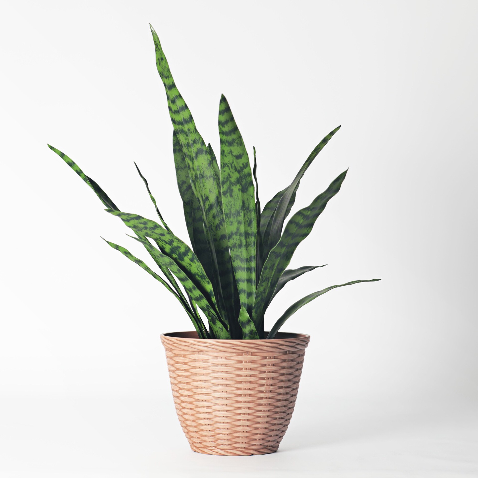 slide 4 of 6, Style Selections 8.4-in W x 6.8-in H Cinnamon Resin Contemporary/Modern Indoor/Outdoor Planter, 1 ct