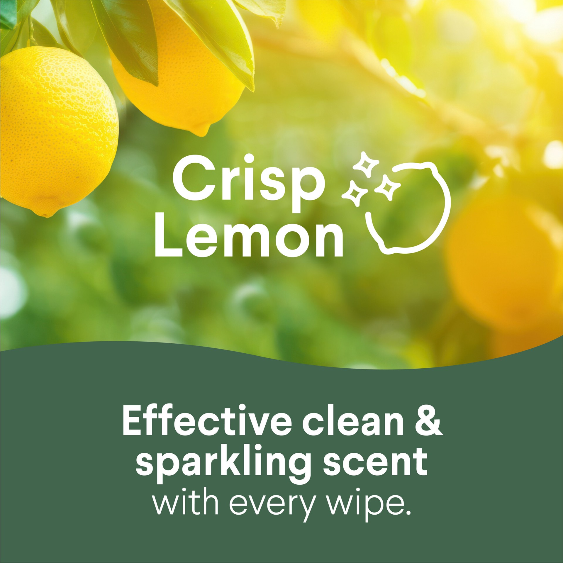 slide 2 of 6, Clorox 2 -Count Fresh Scent/Lemon Fresh Disinfectant Wipes All-Purpose Cleaner 2 -Pack, 1 ct