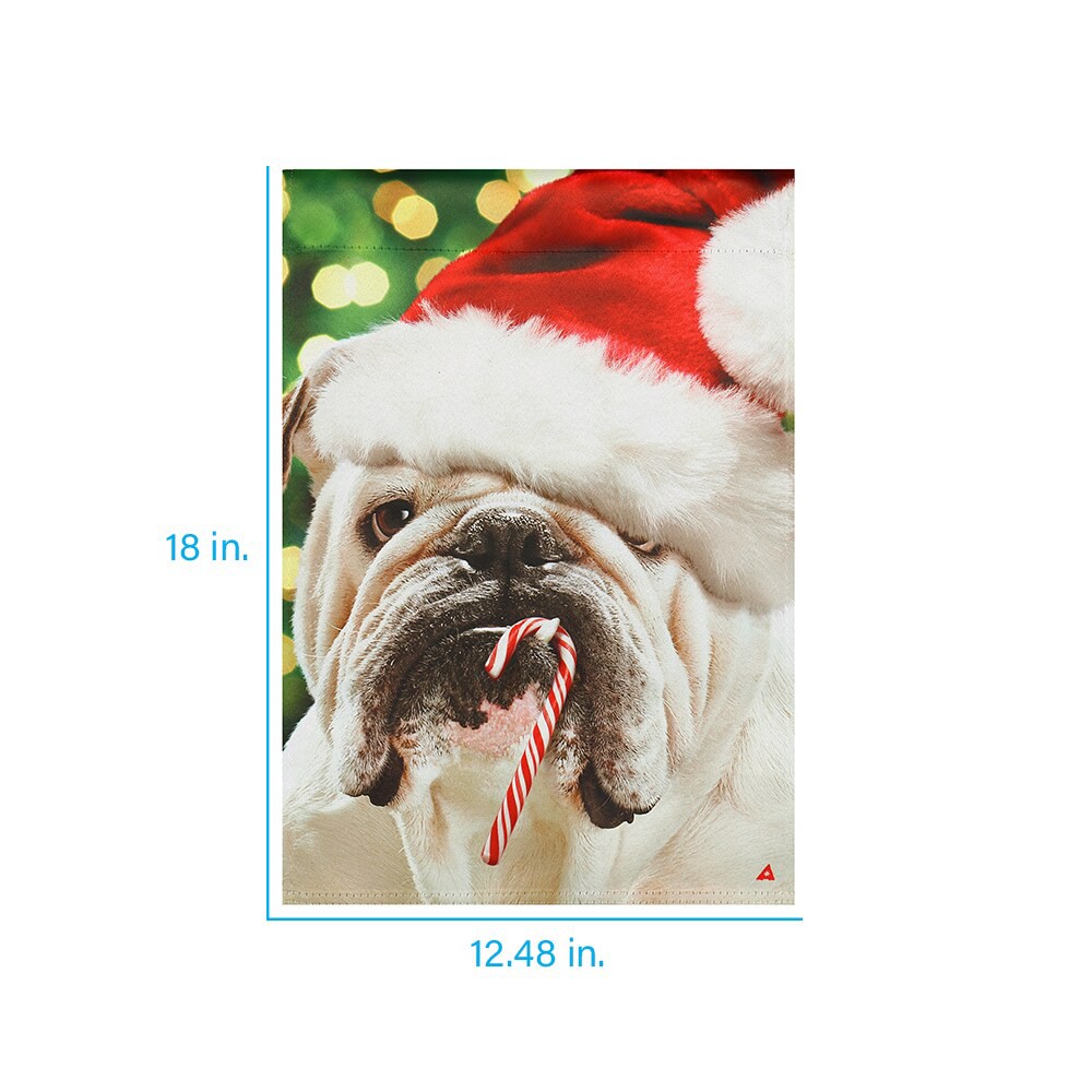 slide 2 of 4, Style Selections 1.04-ft W x 1.5-ft H Holiday Embroidered Flag, 1 ct