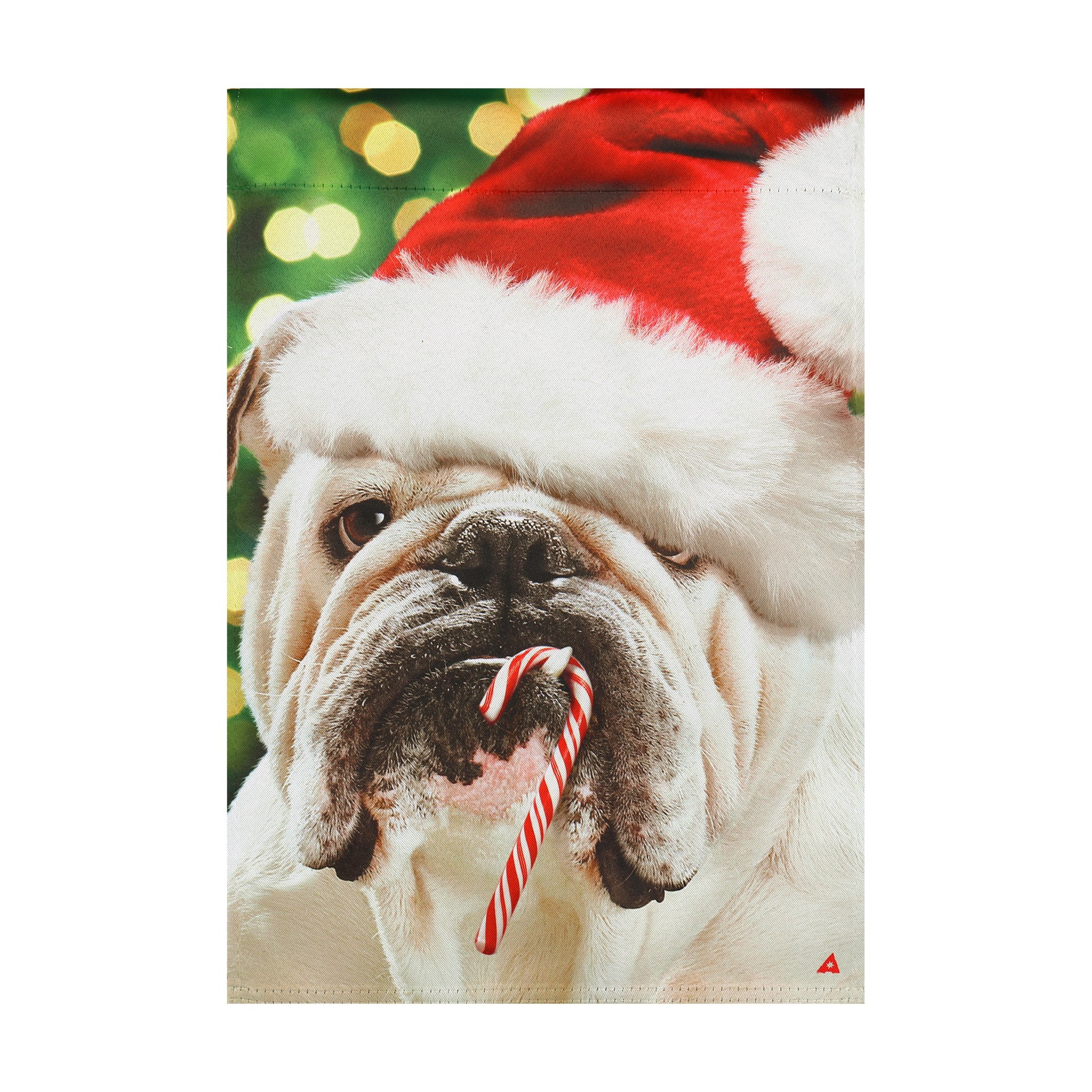 slide 1 of 4, Style Selections 1.04-ft W x 1.5-ft H Holiday Embroidered Flag, 1 ct