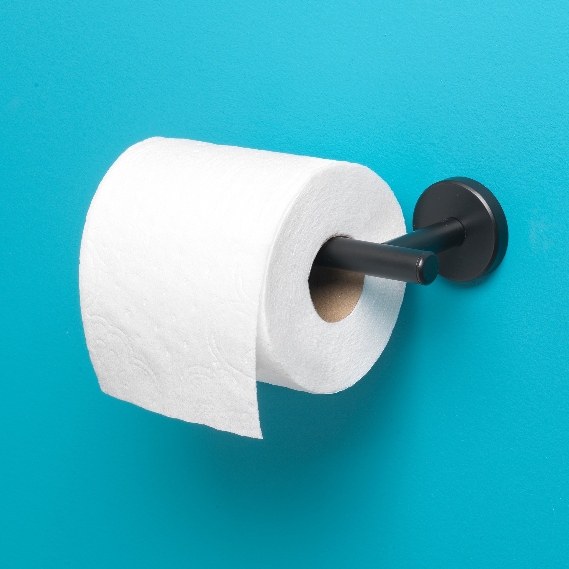 slide 6 of 6, allen + roth Harlow Matte Black Wall mount Single post Toilet Paper Holder 1 -Rolls, 1 ct