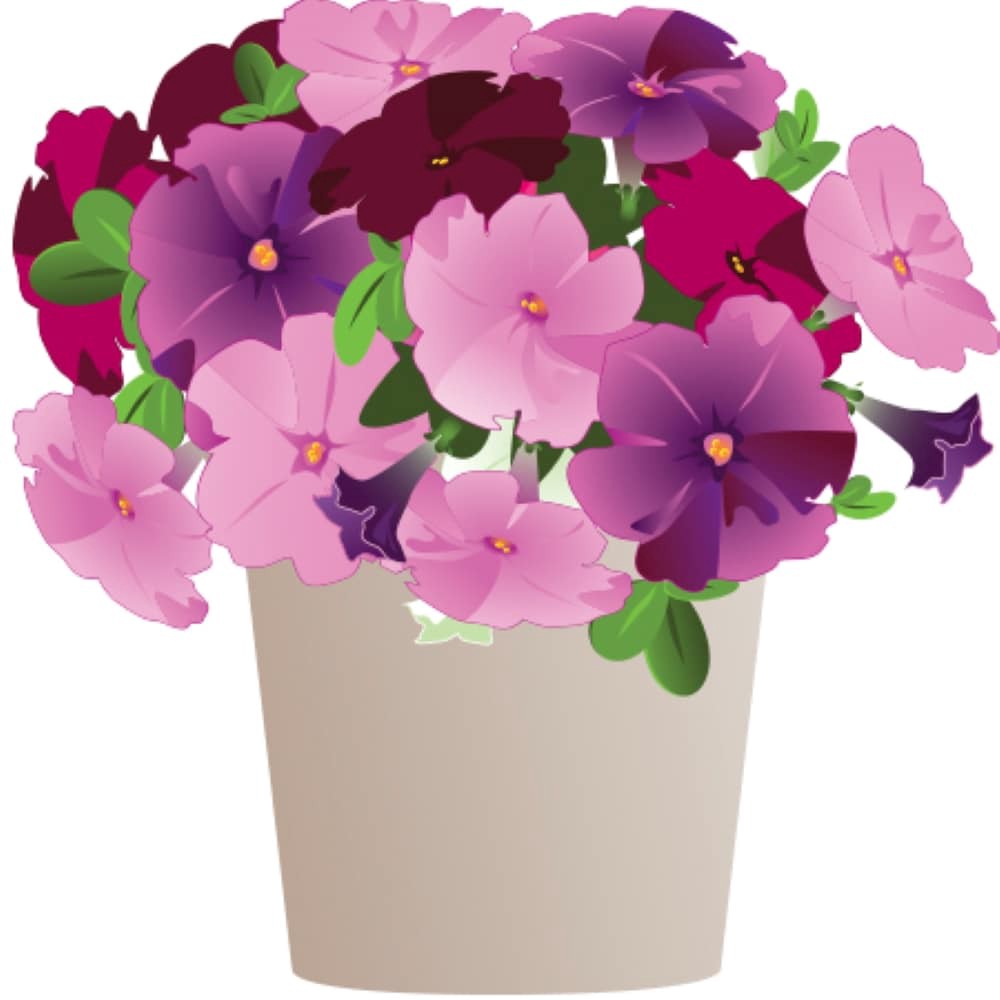 slide 1 of 1, Lowe's 1.76-QT EASTER LILY, 1 ct