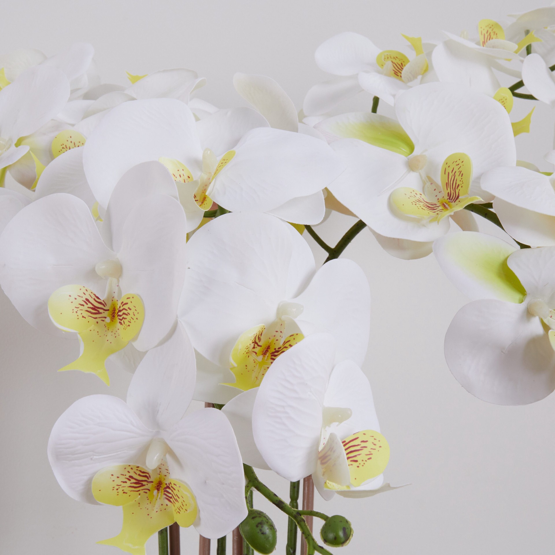 slide 2 of 6, allen + roth 23-in White Indoor Desktop Orchid Artificial flower, 1 ct