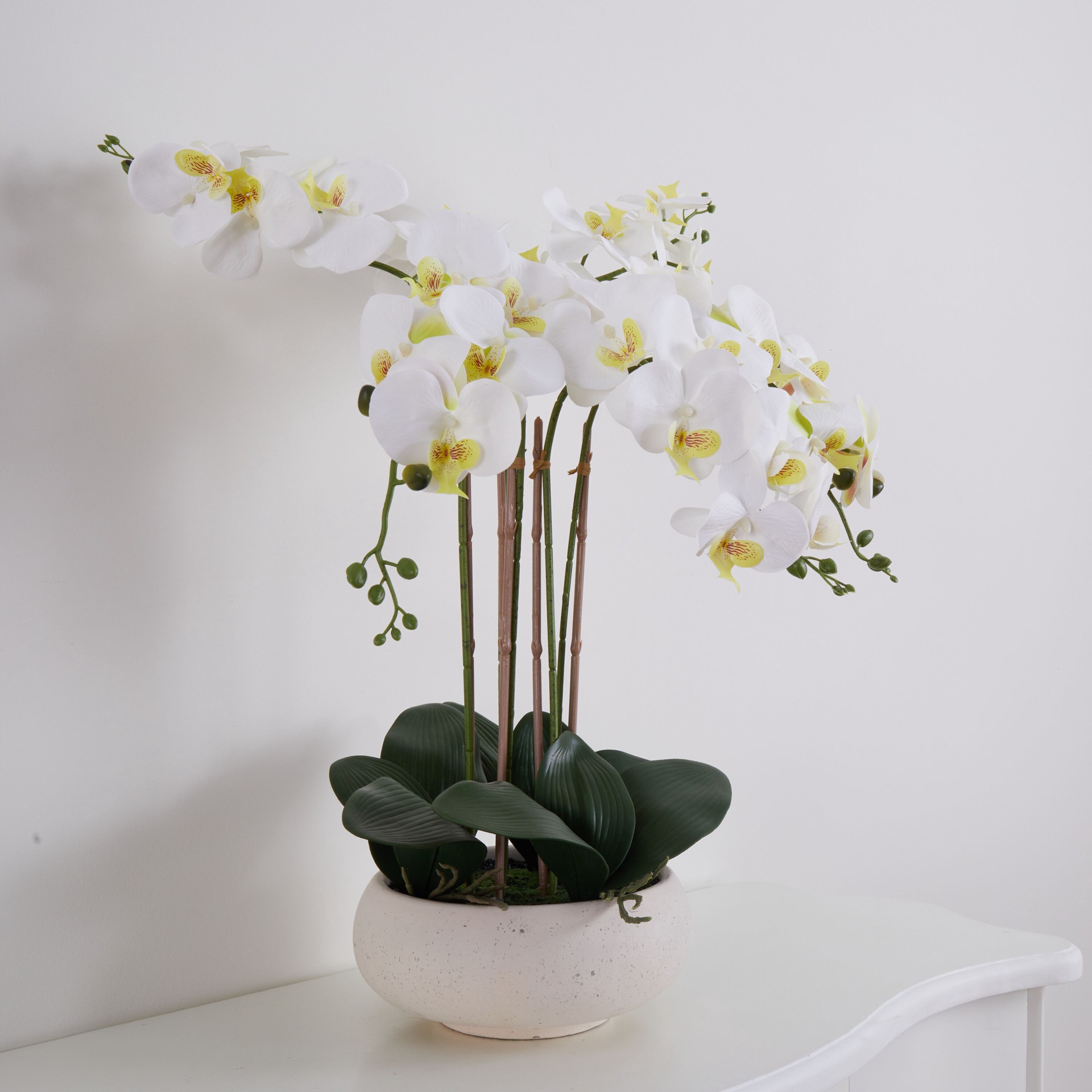 slide 5 of 6, allen + roth 23-in White Indoor Desktop Orchid Artificial flower, 1 ct