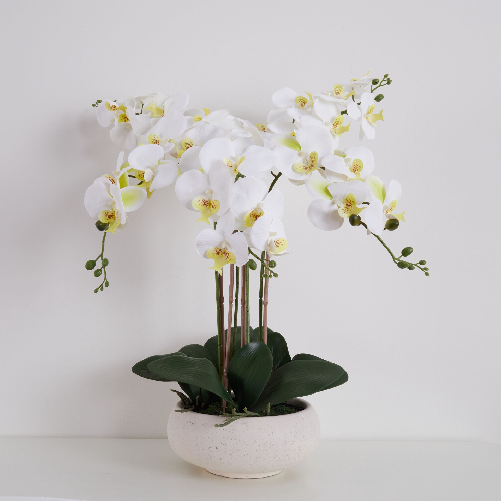 slide 1 of 6, allen + roth 23-in White Indoor Desktop Orchid Artificial flower, 1 ct