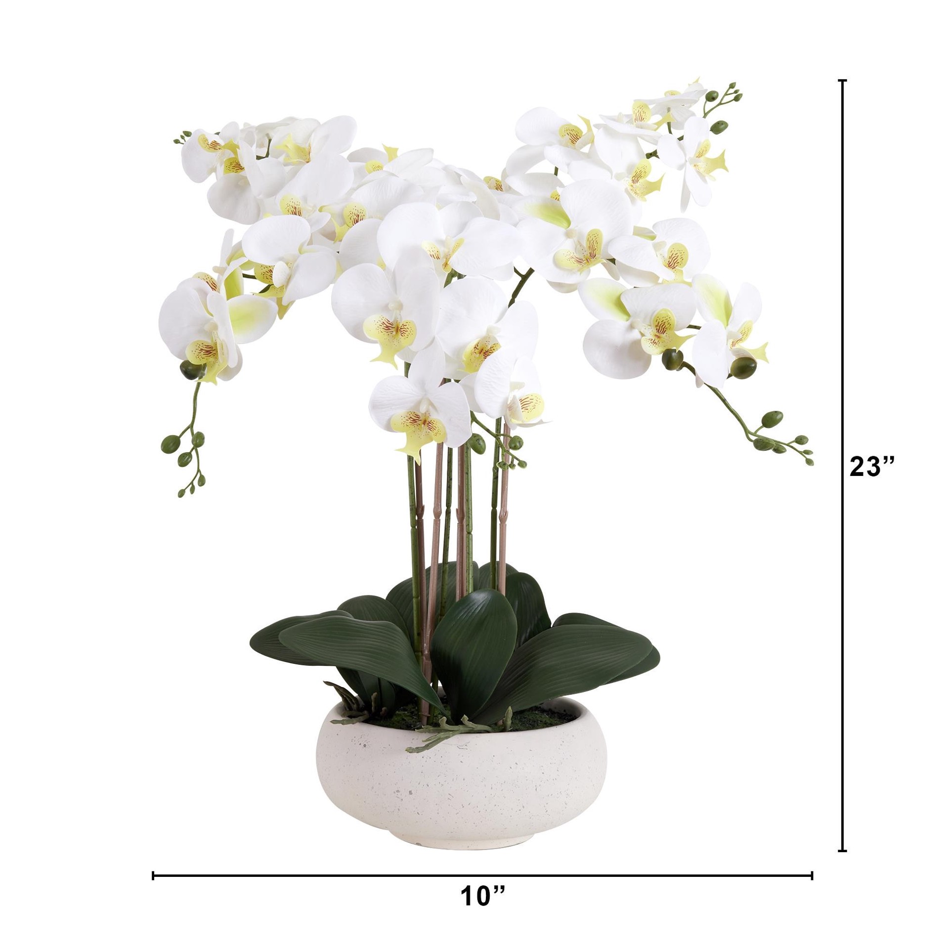 slide 6 of 6, allen + roth 23-in White Indoor Desktop Orchid Artificial flower, 1 ct