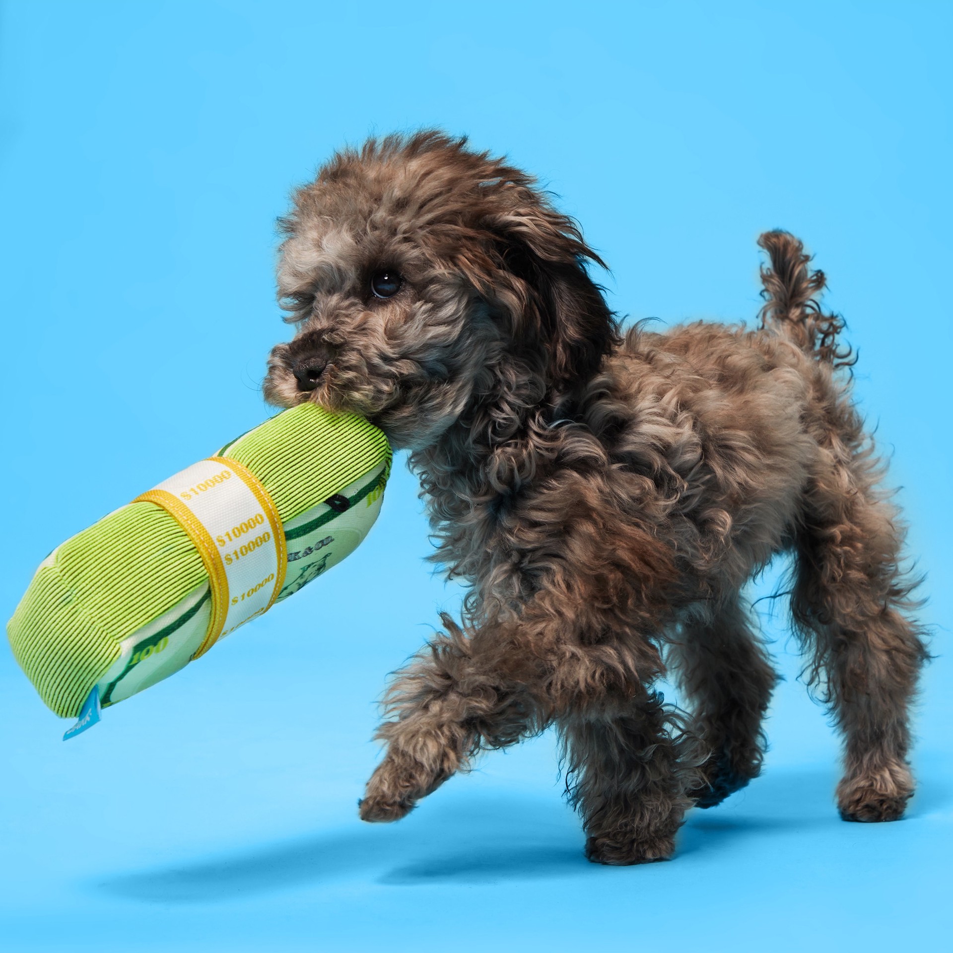 slide 4 of 5, BARK Plush Dog Toy Plush Plush Dog Toy, 1 ct