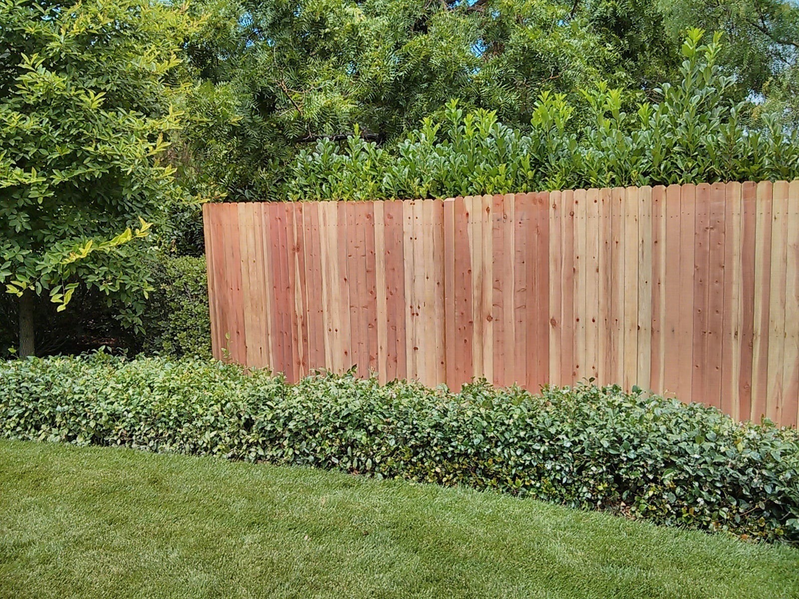 slide 3 of 6, 3/4-in x 7-1/2-in x 5-ft Redwood Dog ear Fence Picket, 1 ct