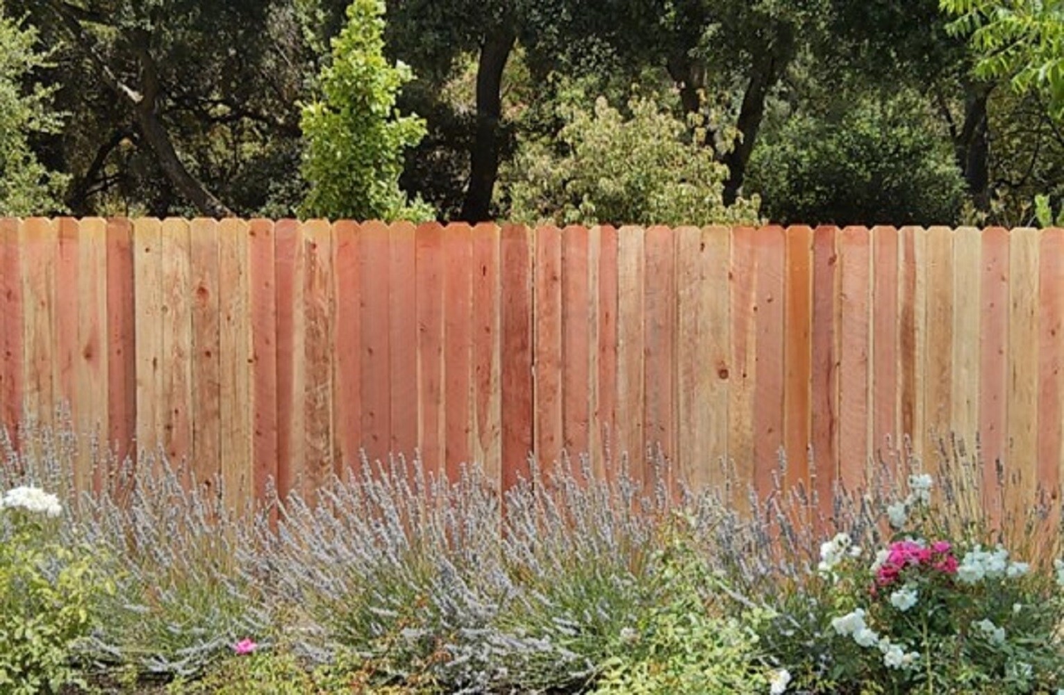 slide 4 of 6, 3/4-in x 7-1/2-in x 5-ft Redwood Dog ear Fence Picket, 1 ct
