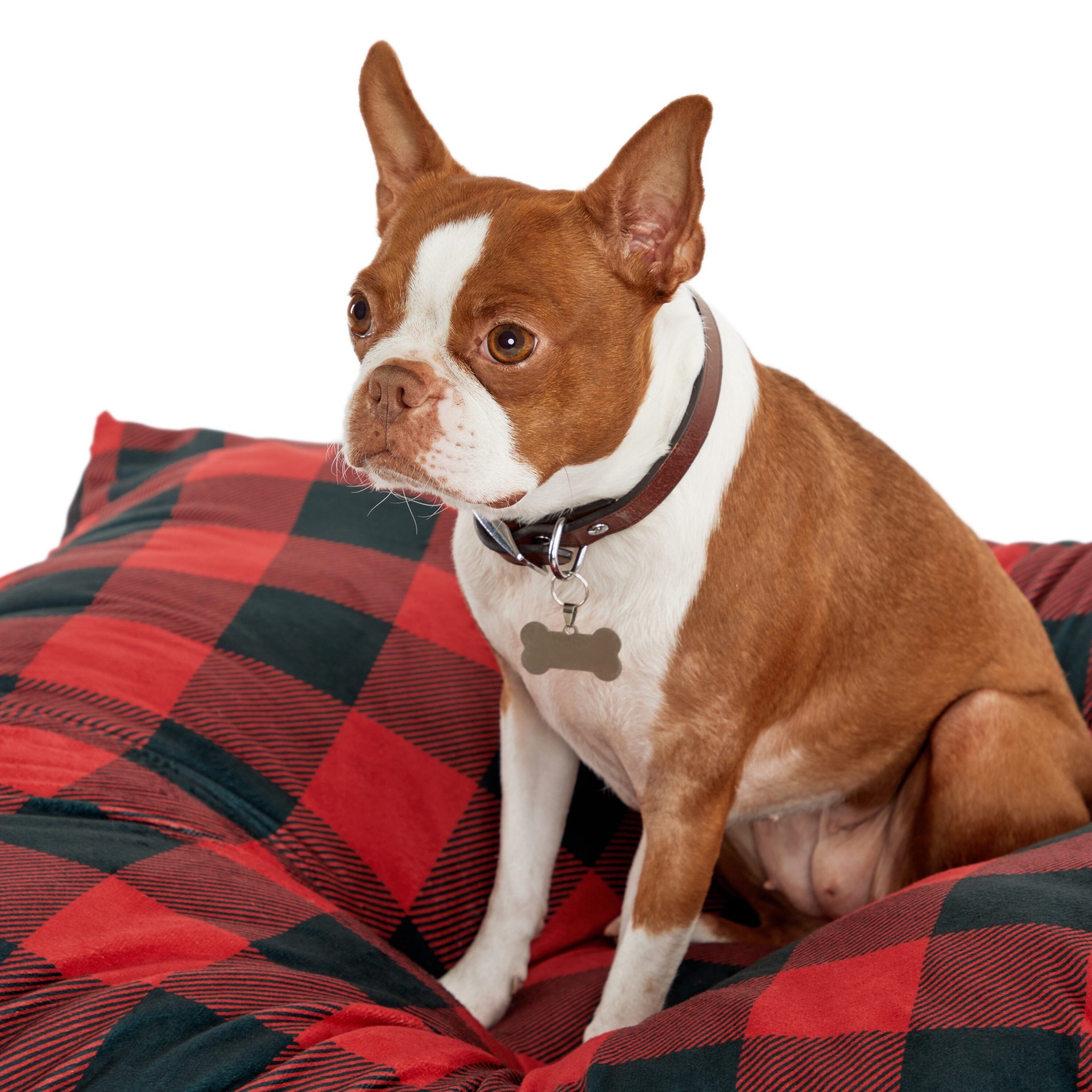 slide 4 of 4, Petco Rectangular Red Polyester Pillow Bed (Any), 1 ct