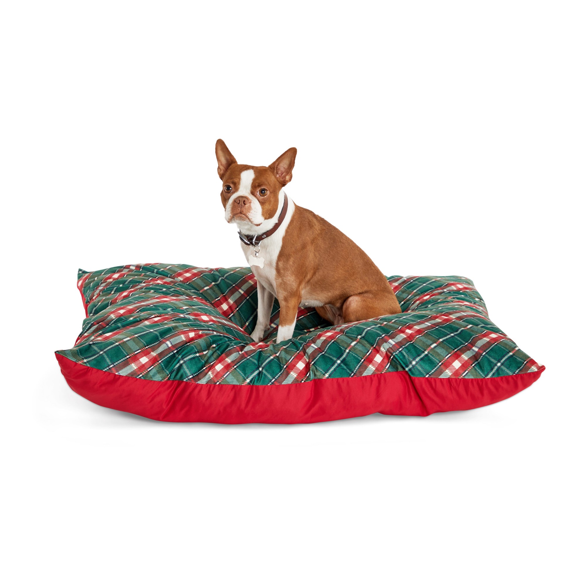 slide 5 of 5, Petco Rectangular Green Polyester Pillow Bed (Any), 1 ct