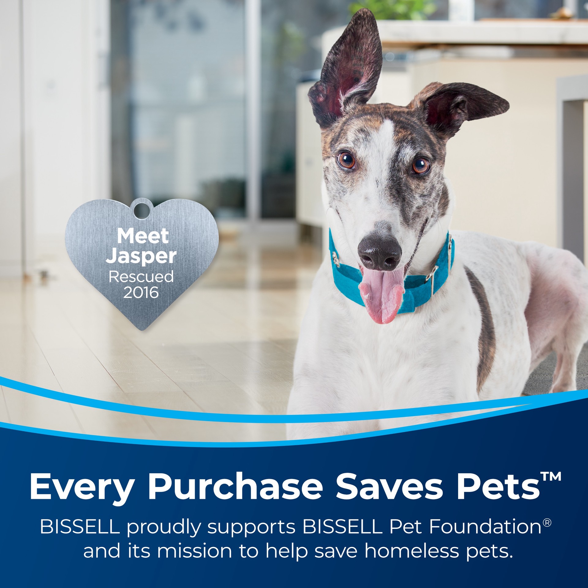 slide 6 of 6, BISSELL SurfaceSense Lift Off Bagless Pet Upright Vacuum Cleaner with HEPA Filter, 1 ct