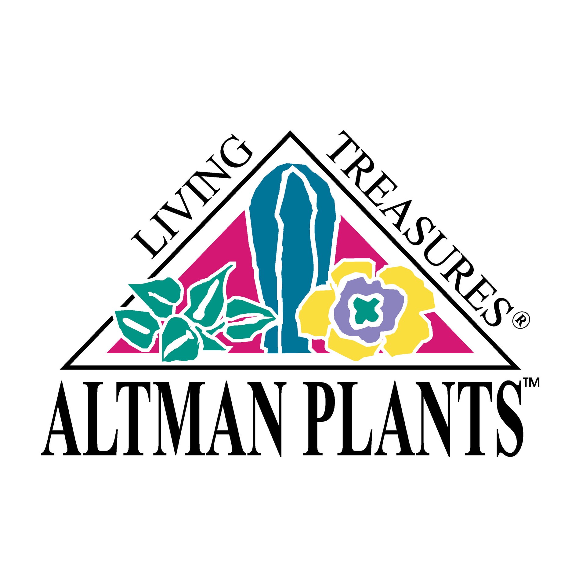 slide 1 of 1, Lowe's Multicolor Orchid House plant in 7 Ounce(s) Planter 1.0 -Pack, 1 ct