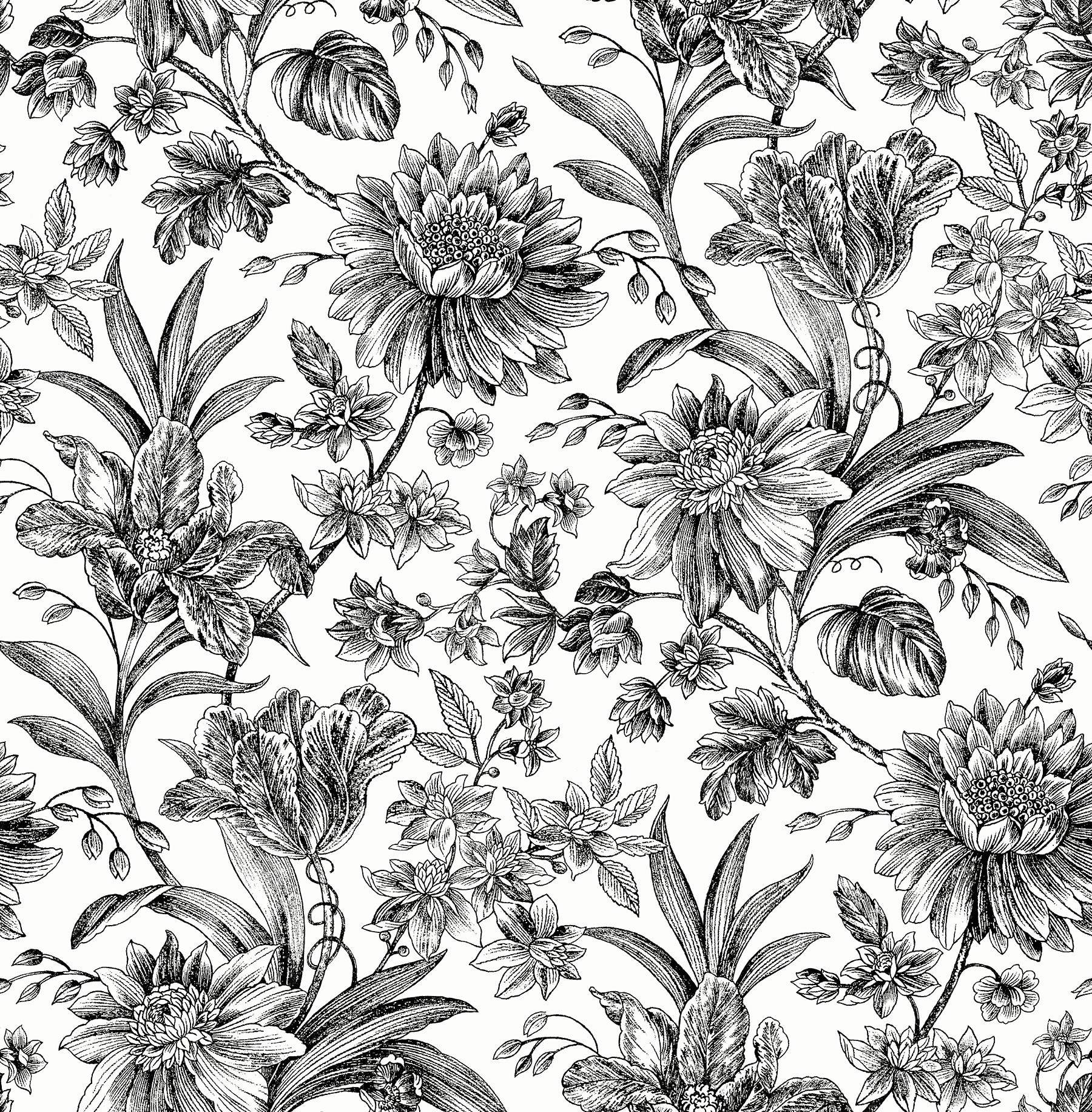 slide 1 of 6, allen + roth 30.75-sq ft Black Vinyl Floral Self-adhesive Peel and Stick Wallpaper, 1 ct