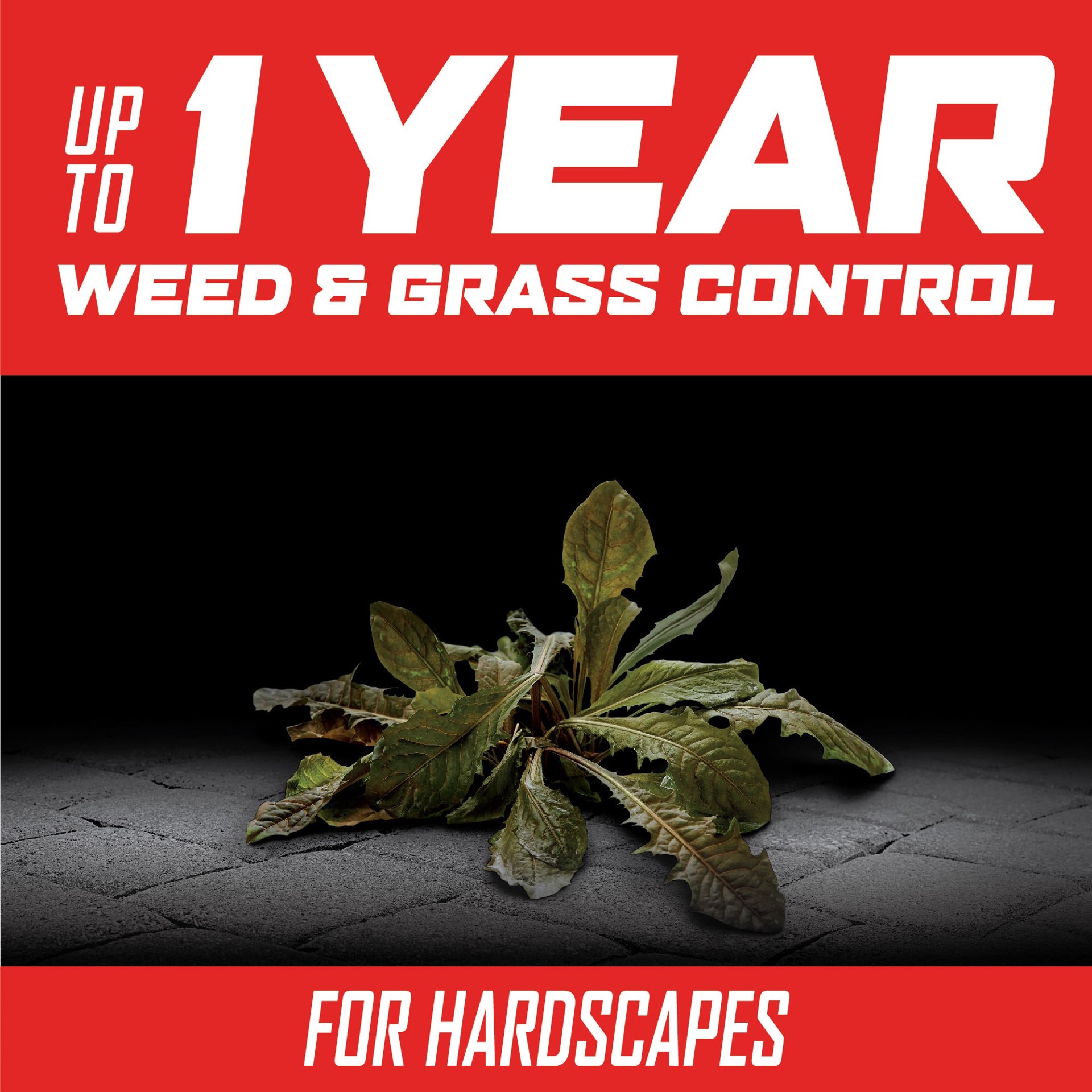 slide 4 of 6, ORTHO Year Long Vegetation Killer2 2 -Gallon Concentrate Pre-Emergent Weed and Grass Killer, 1 ct