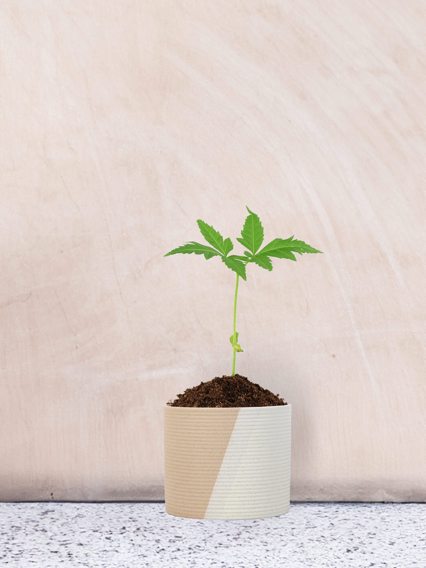 slide 3 of 6, allen + roth Round 8.07-in W x 8.07-in L Brown Ceramic Indoor/Outdoor Planter, 1 ct