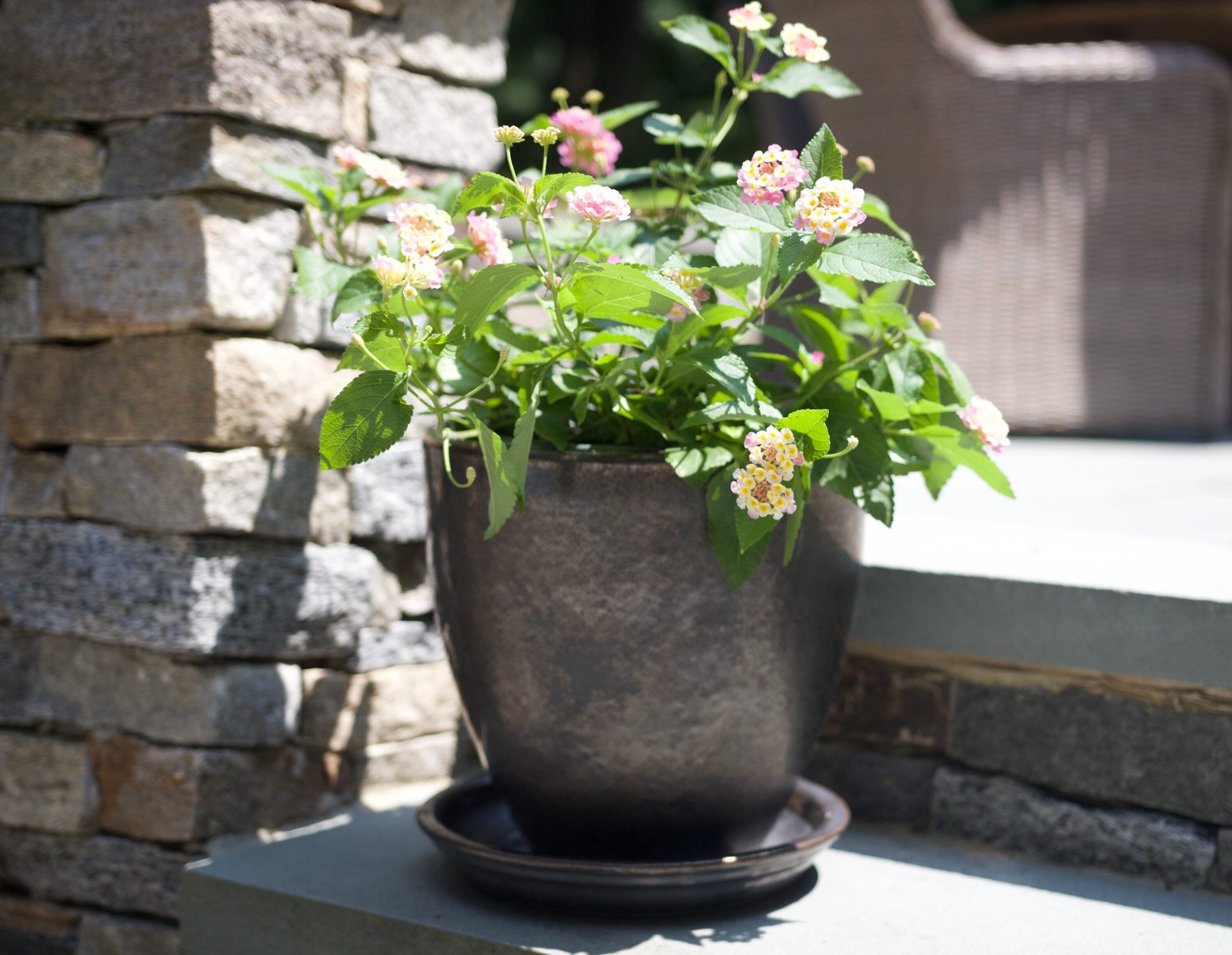 slide 5 of 6, allen + roth 8.85-in Gun Metal Glazed ceramic Plant Saucer, 1 ct