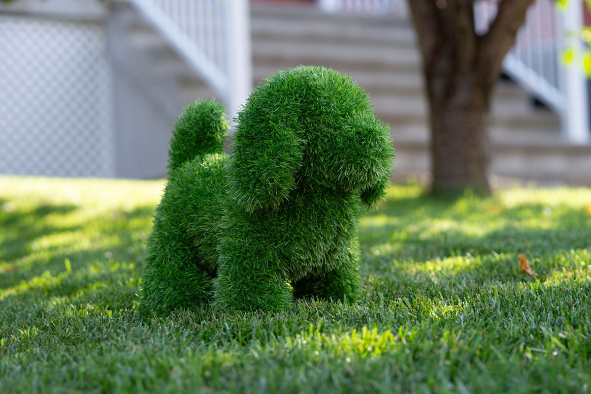 slide 5 of 5, naturae decor 13-in H x 9.1-in W Green Dog Topiary Garden Statue, 1 ct