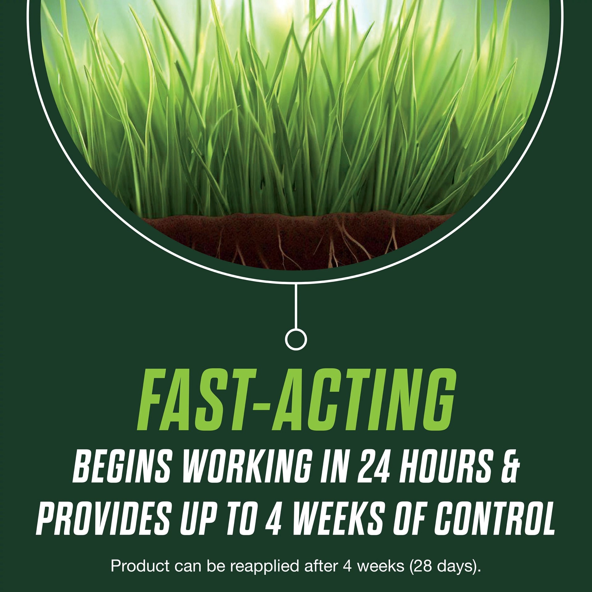 slide 5 of 6, Scotts Turf Builder Healthy Plus Lawn Food 13.72-lb 4000-sq ft 19-0-10 All Purpose Fungicide Fertilizer, 1 ct