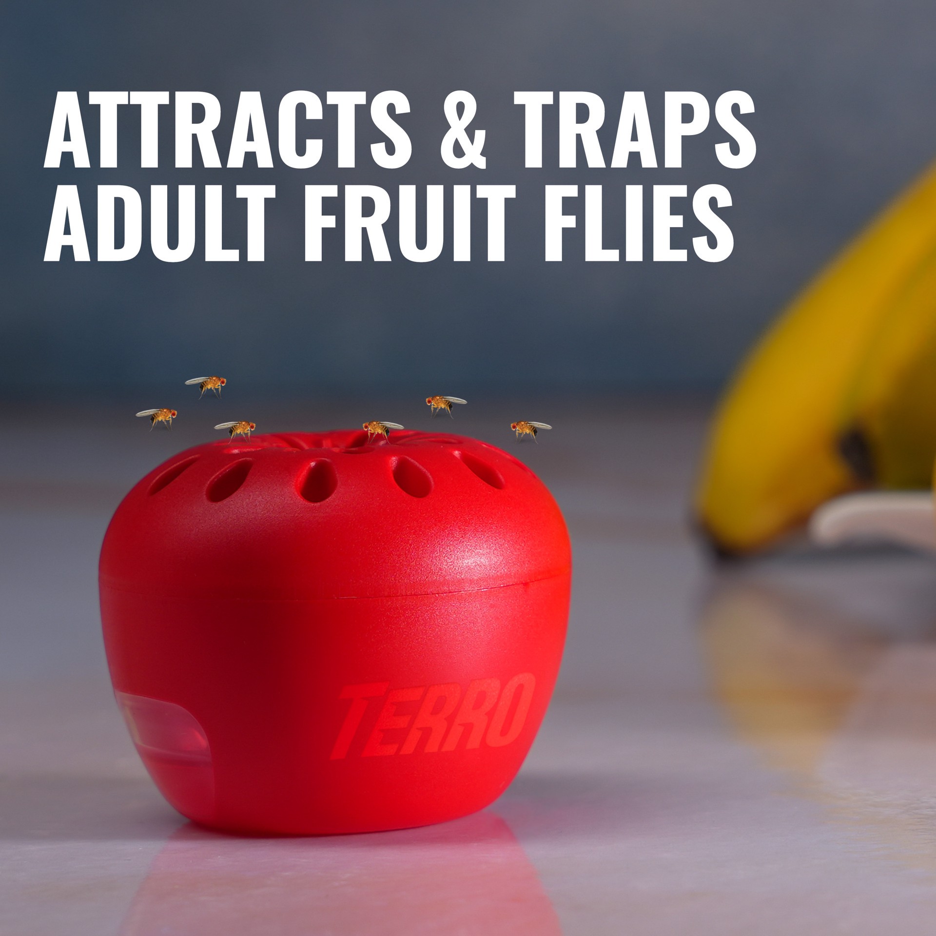 slide 2 of 6, TERRO Fruit Fly Indoor Insect trap 2 -Pack, 1 ct