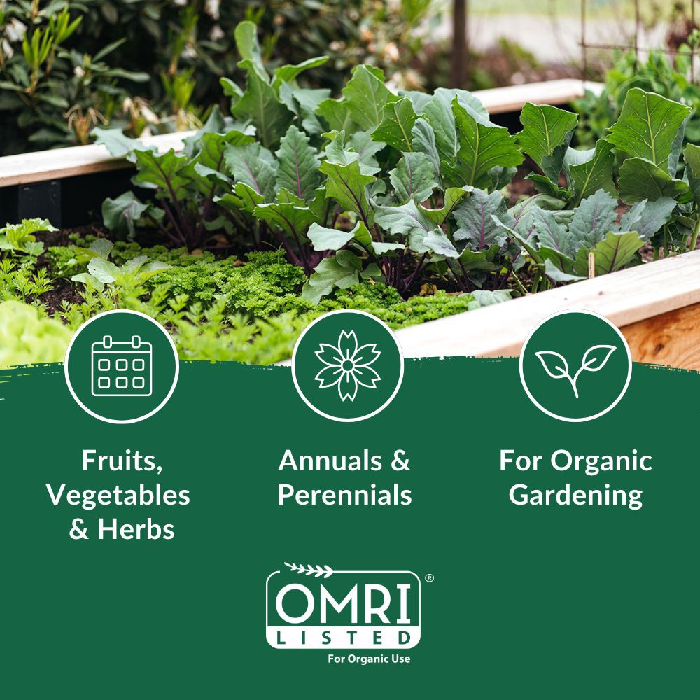 slide 3 of 6, Kellogg Organic Plus 4-lb 4-4-4 Water-soluble All-purpose Food, 1 ct