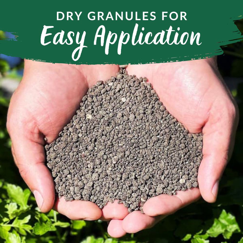 slide 4 of 6, Kellogg Organic Plus 4-lb 4-4-4 Water-soluble All-purpose Food, 1 ct