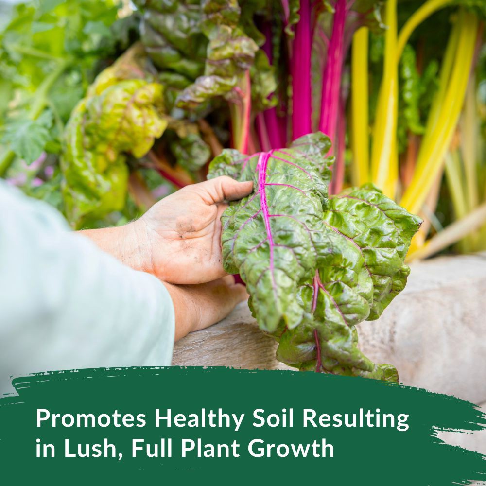 slide 6 of 6, Kellogg Organic Plus 4-lb 4-4-4 Water-soluble All-purpose Food, 1 ct