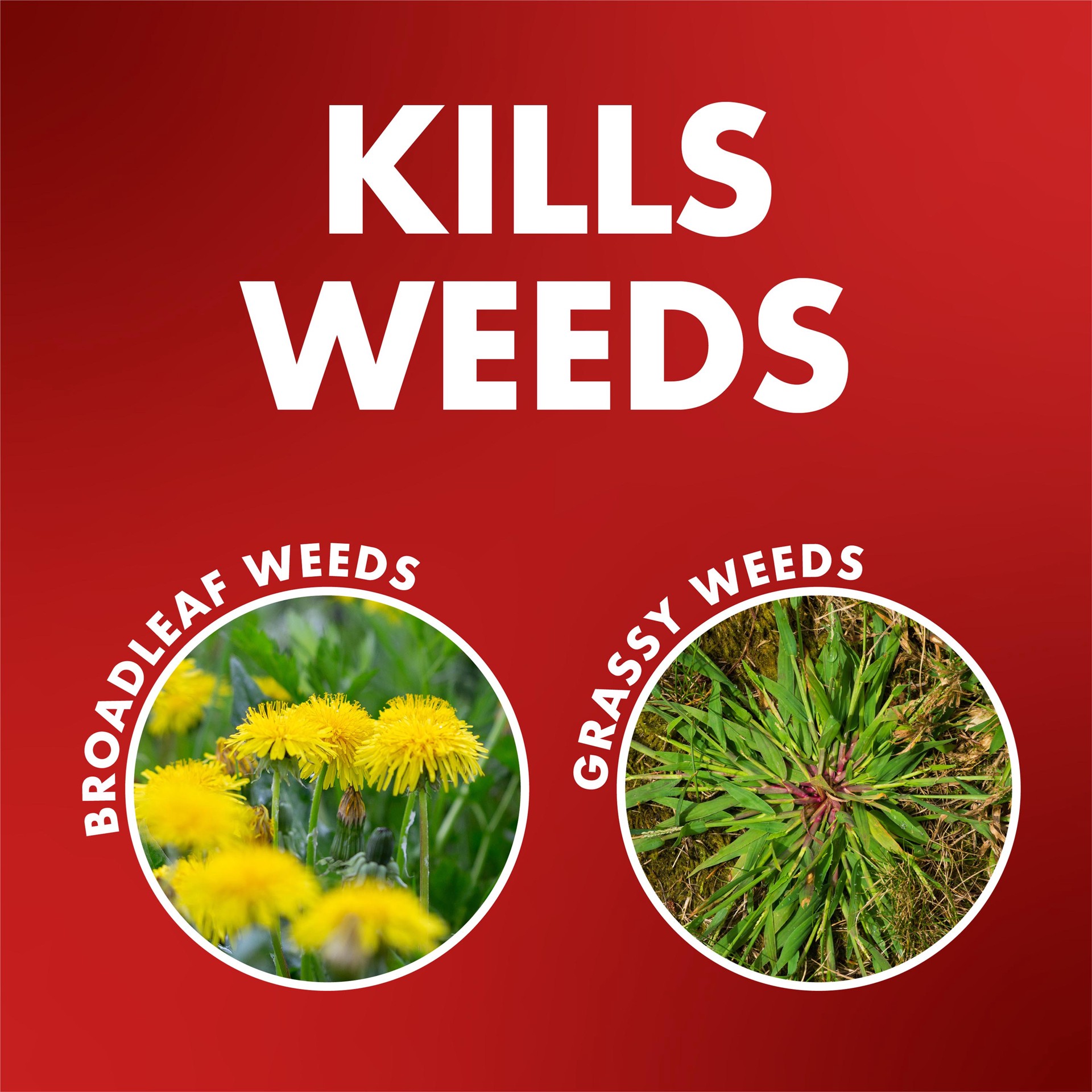 slide 5 of 6, Spectracide One-Shot 5 Month Control 32 -oz Concentrate Weed and Grass Killer, 1 ct
