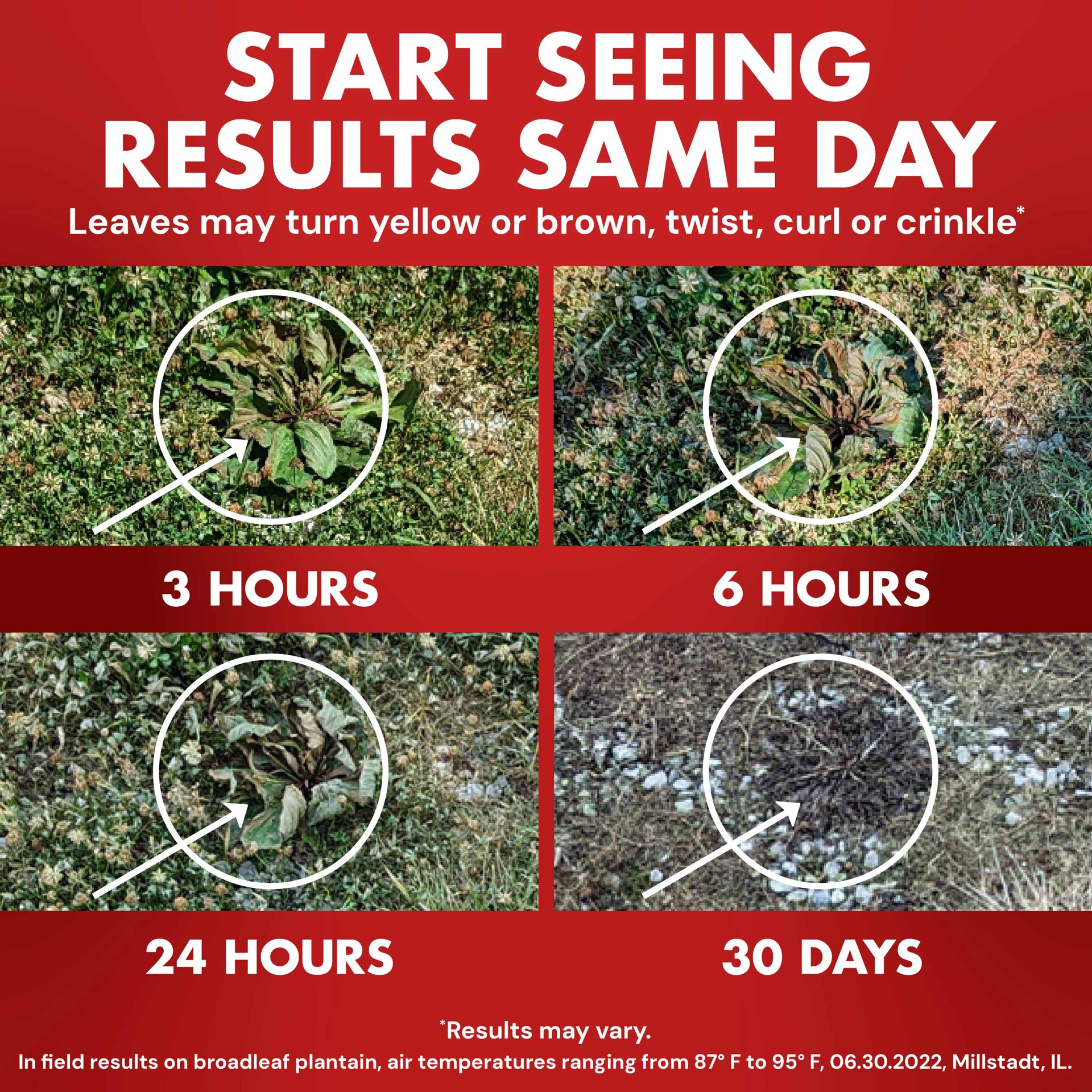 slide 6 of 6, Spectracide One-Shot 5 Month Control 32 -oz Concentrate Weed and Grass Killer, 1 ct