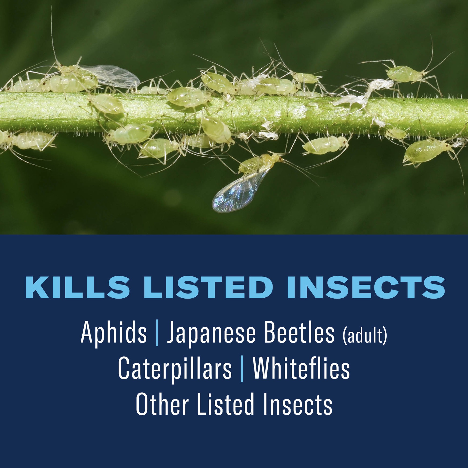 slide 2 of 6, BioAdvanced Tree Shrub 32 -fl oz Concentrate Insect killer, 1 ct