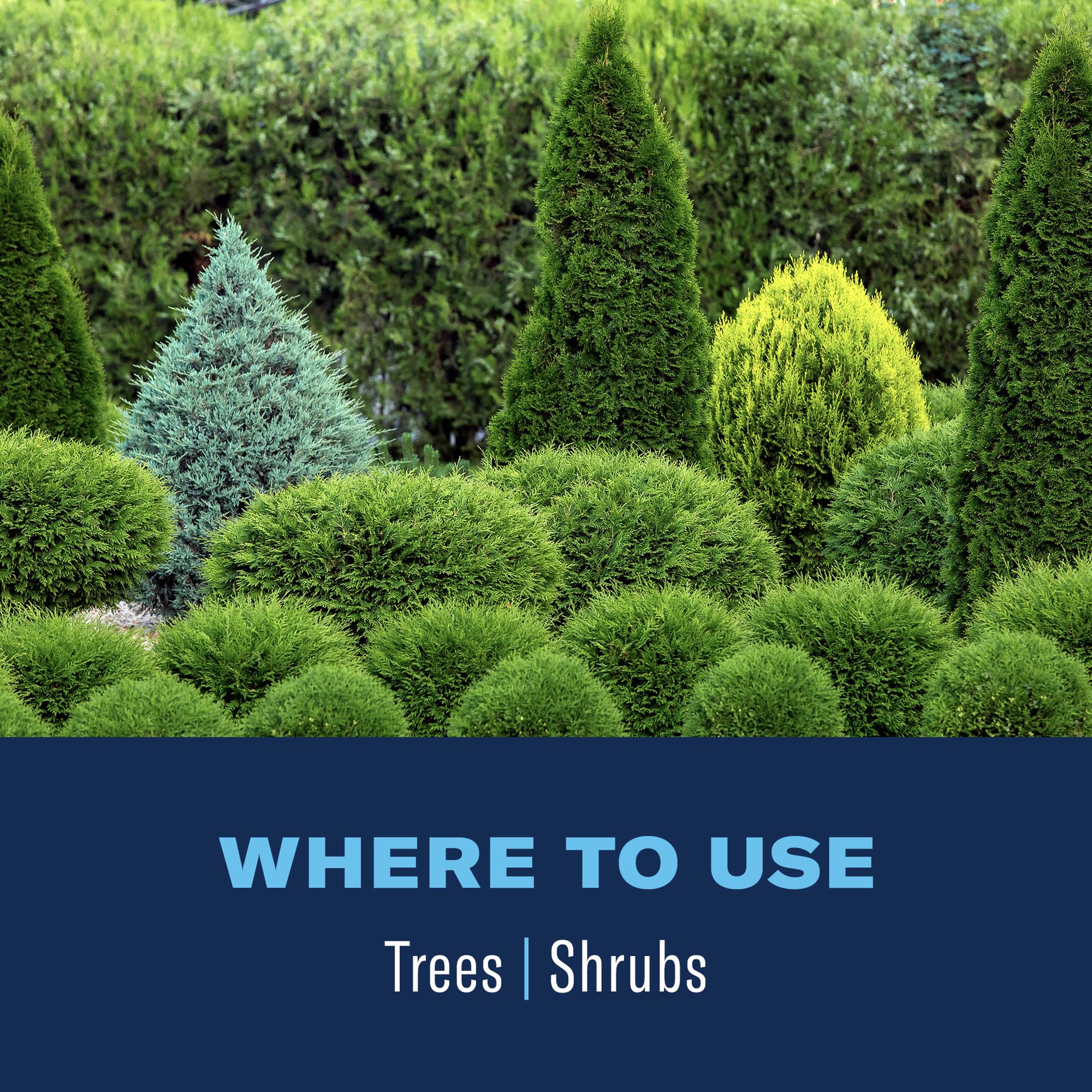 slide 4 of 6, BioAdvanced Tree Shrub 32 -fl oz Concentrate Insect killer, 1 ct