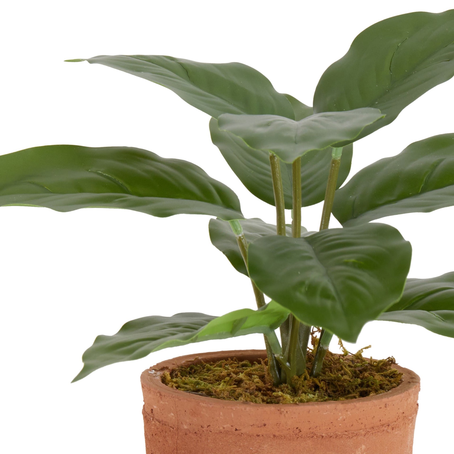 slide 2 of 6, Nearly Natural 5.5-in Green Indoor Desktop Mixed greenery Artificial plant, 1 ct