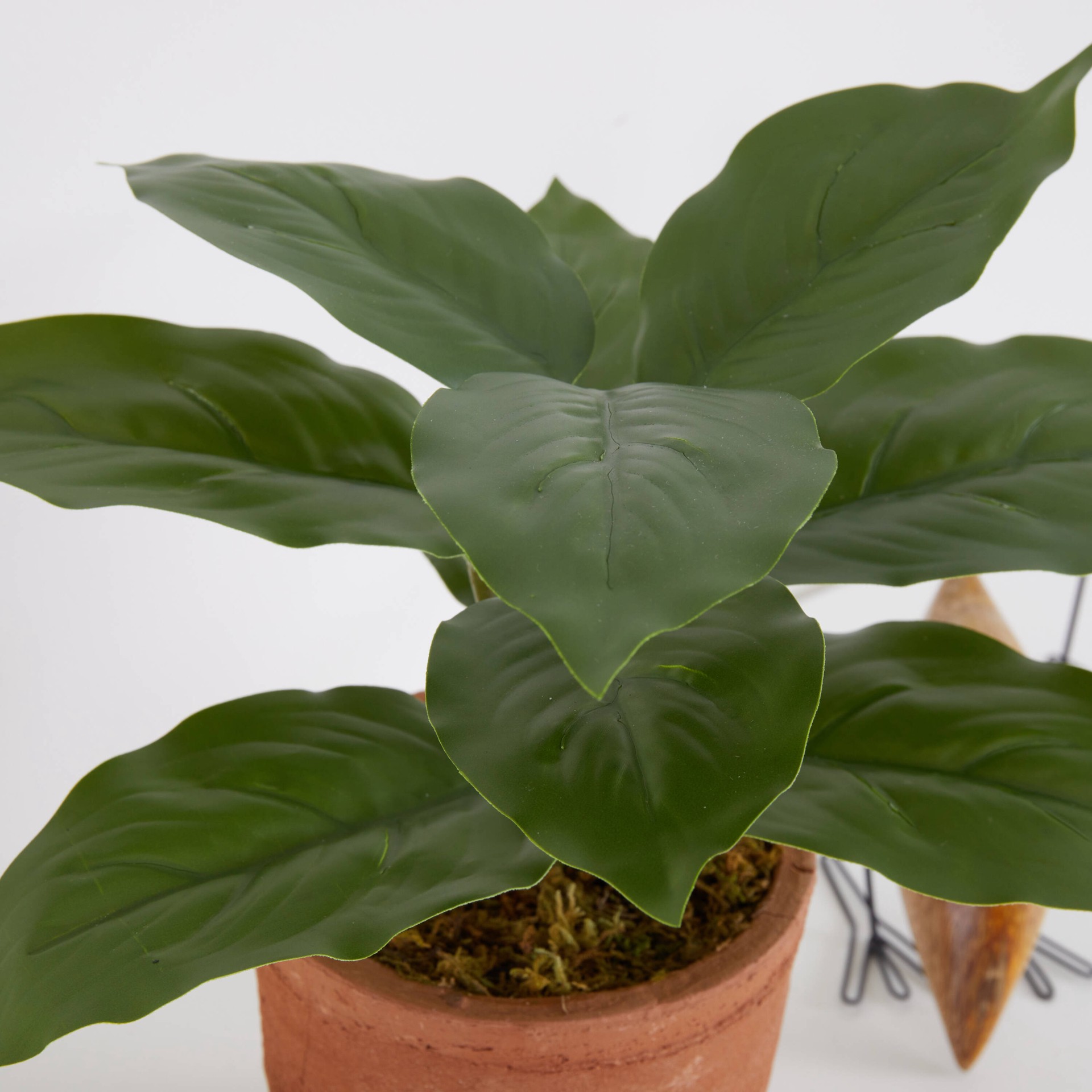 slide 4 of 6, Nearly Natural 5.5-in Green Indoor Desktop Mixed greenery Artificial plant, 1 ct