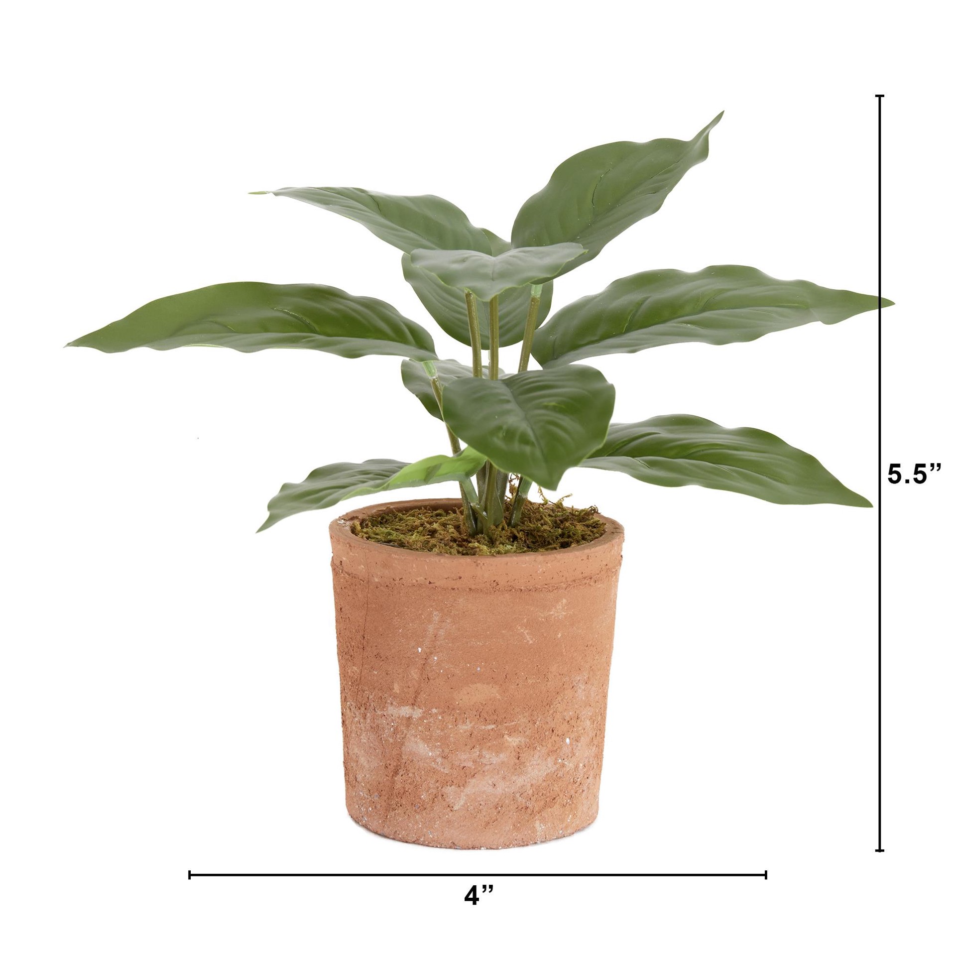 slide 6 of 6, Nearly Natural 5.5-in Green Indoor Desktop Mixed greenery Artificial plant, 1 ct