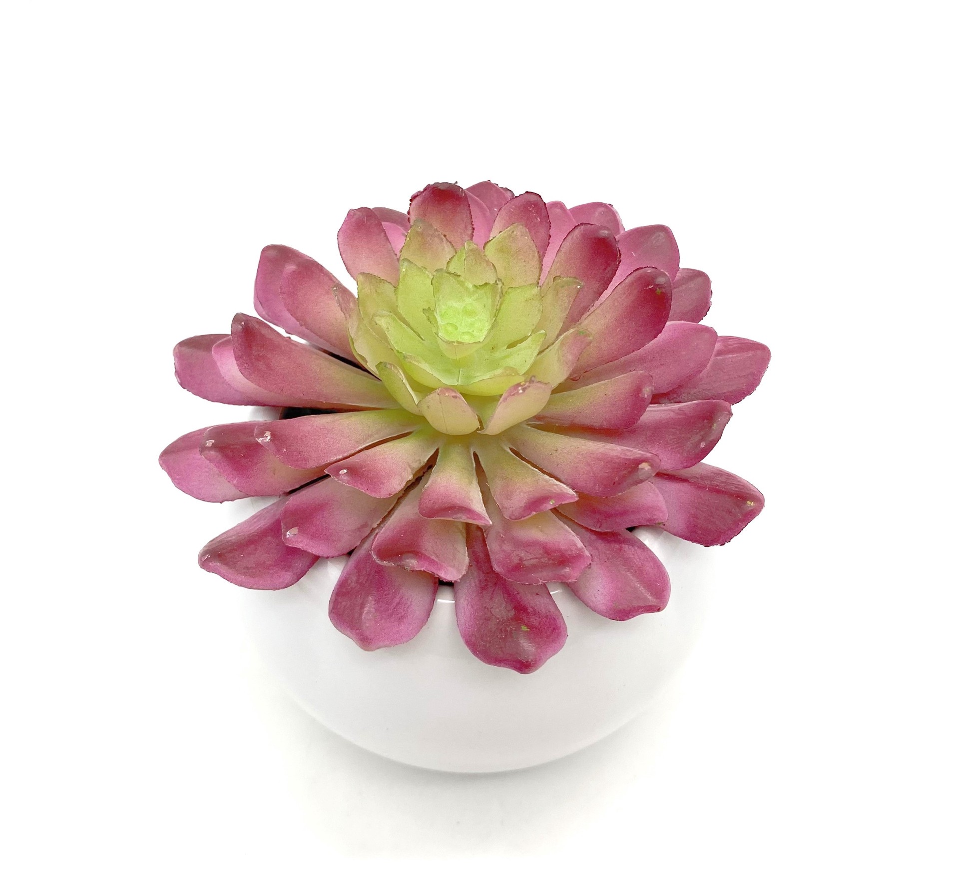 slide 2 of 6, Nearly Natural 5-in Green Indoor Desktop Succulent Artificial plant, 1 ct